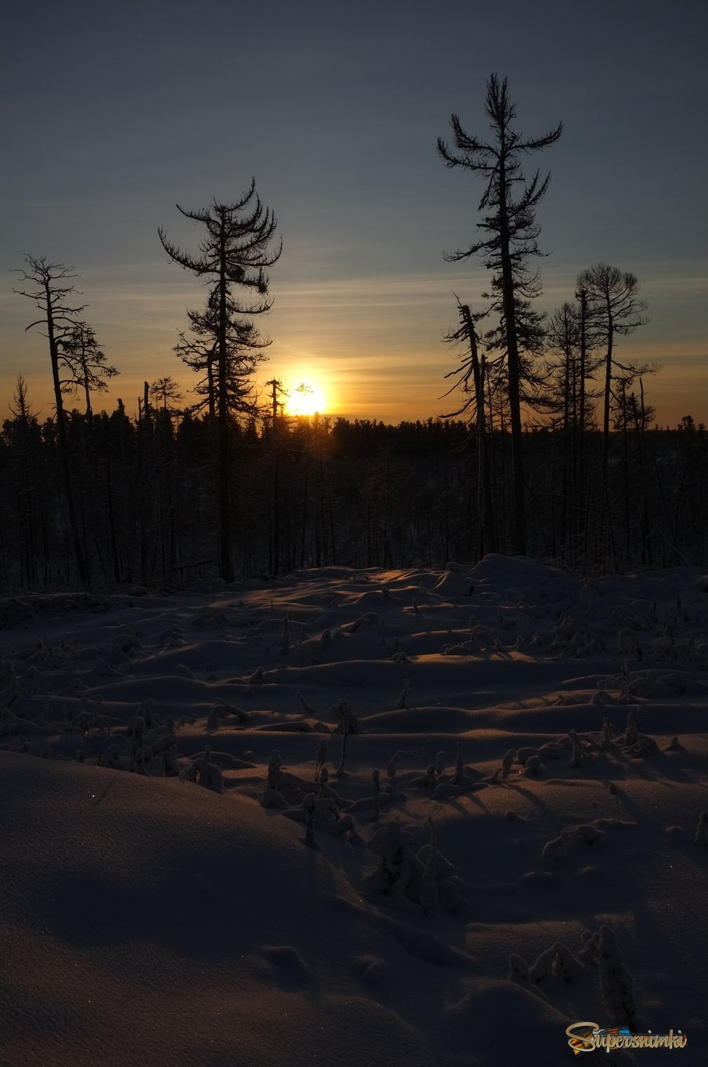 Большое Васюганское болото***