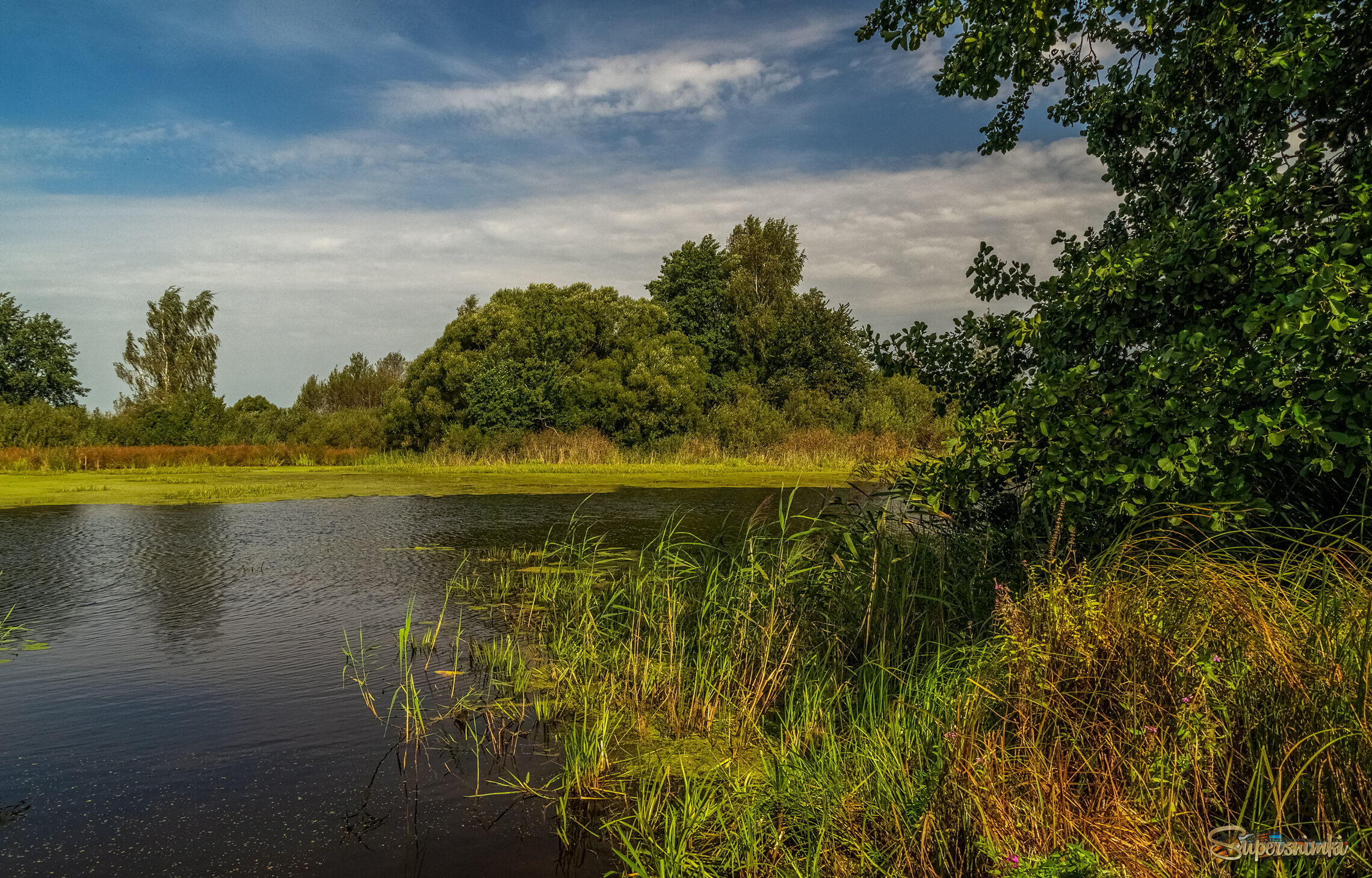 На исходе лета 3