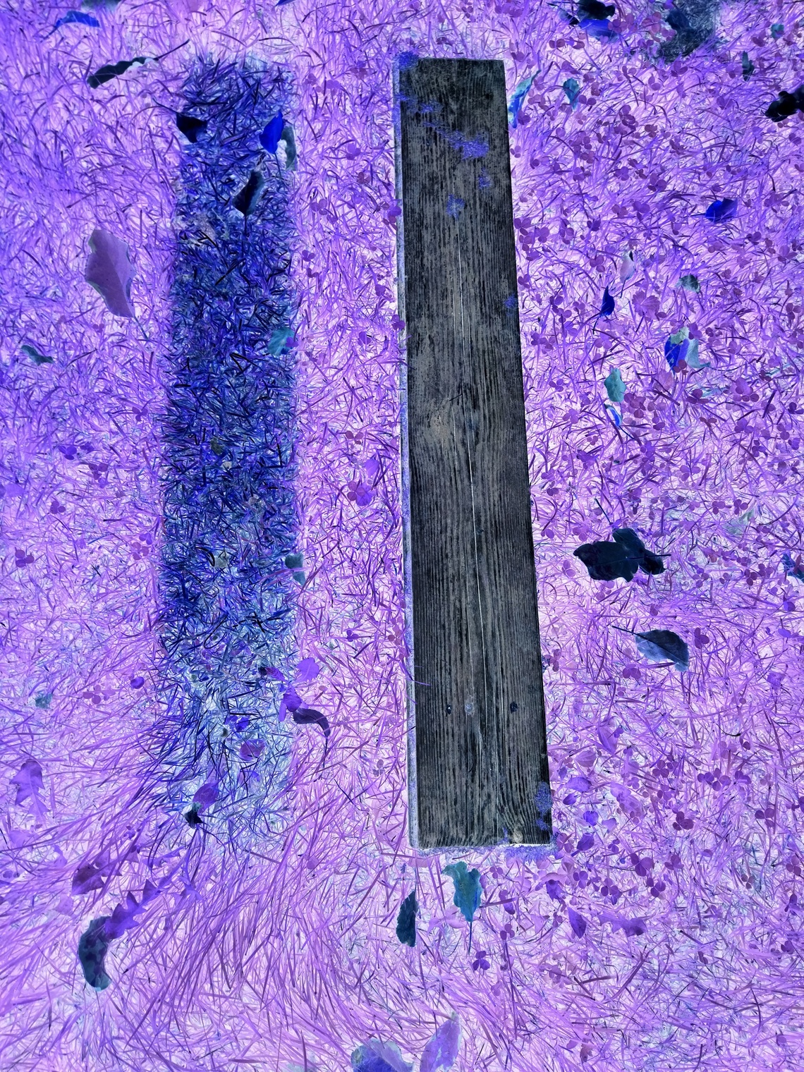 невесомость