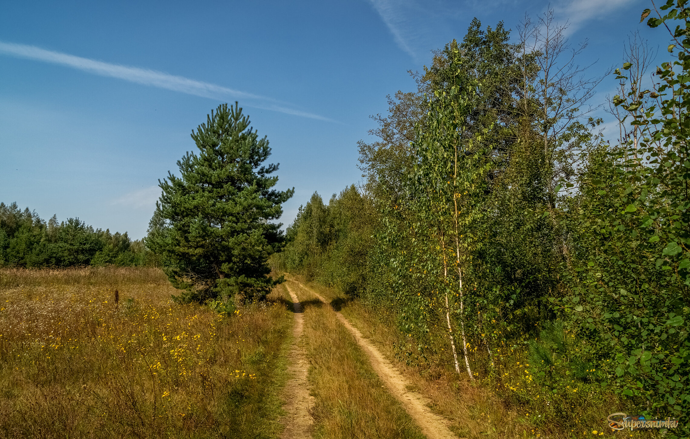 На исходе лета 5