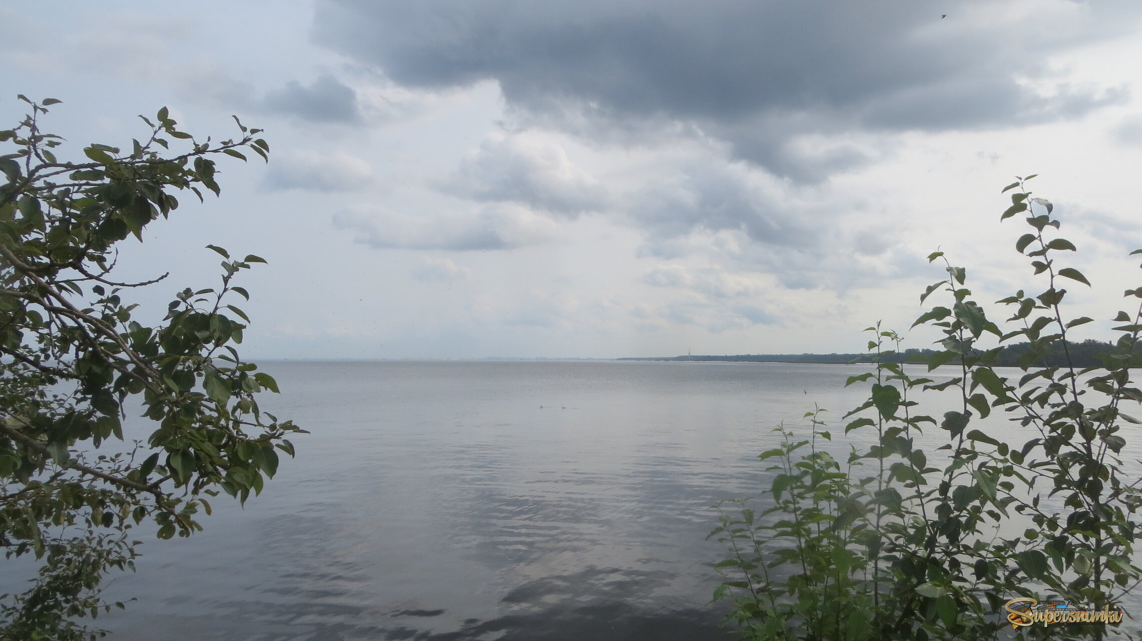 В Ломоносове