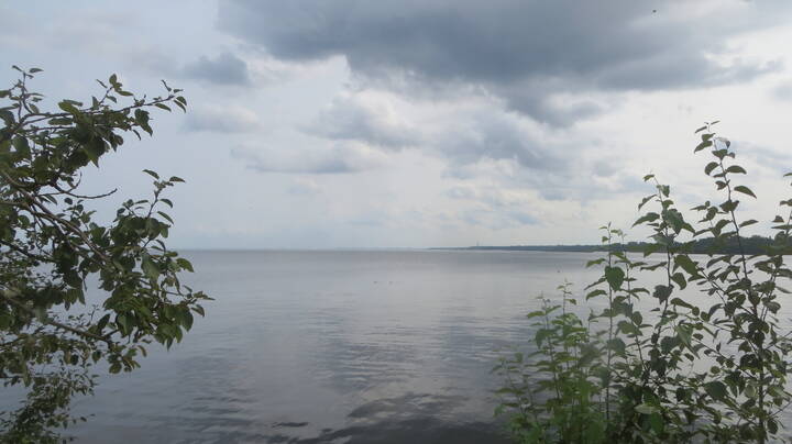 Текущая версия