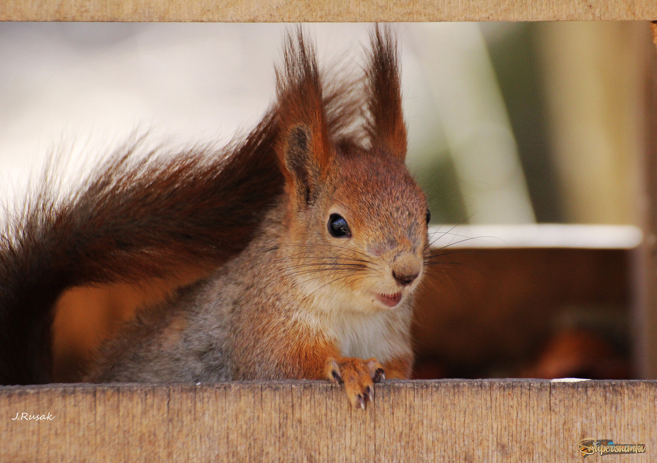 "От улыбки станет всем теплей..."