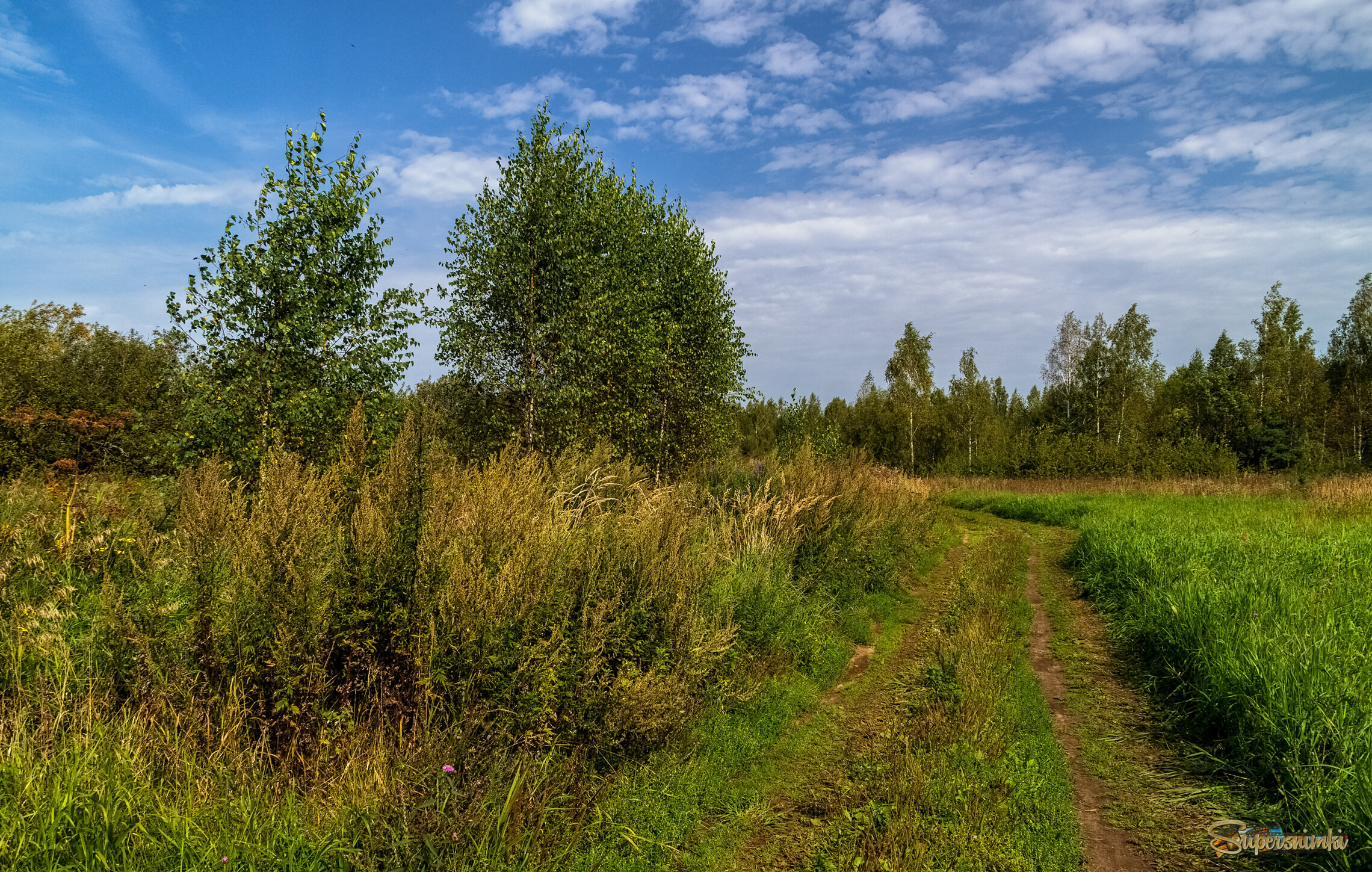 На исходе лета 7