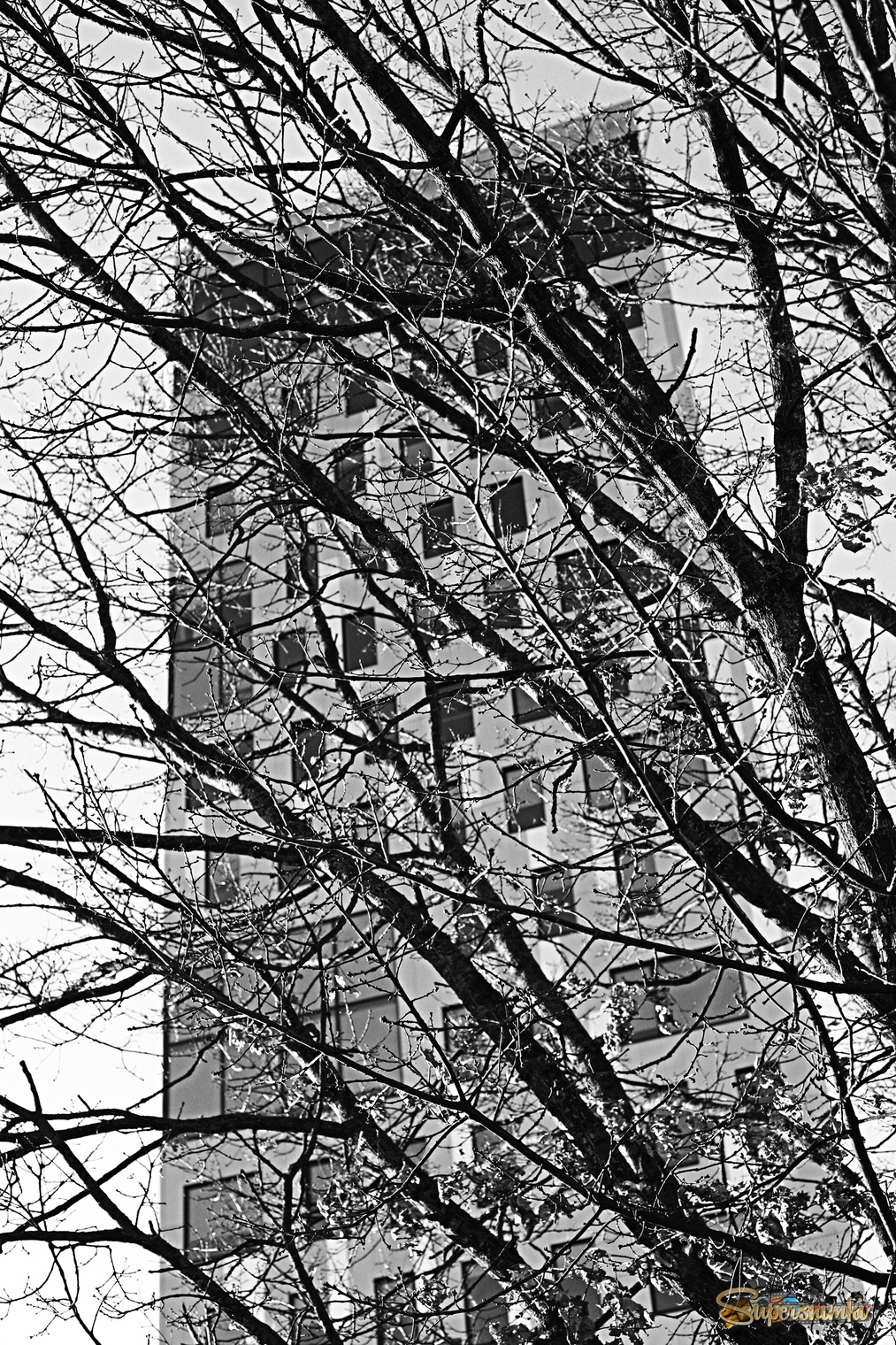 Весна в городе