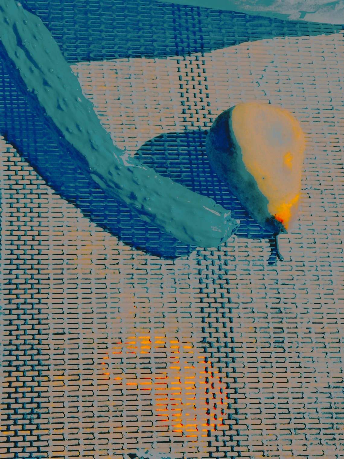 Натюрморт с подгнившим огурцом и червивой грушей