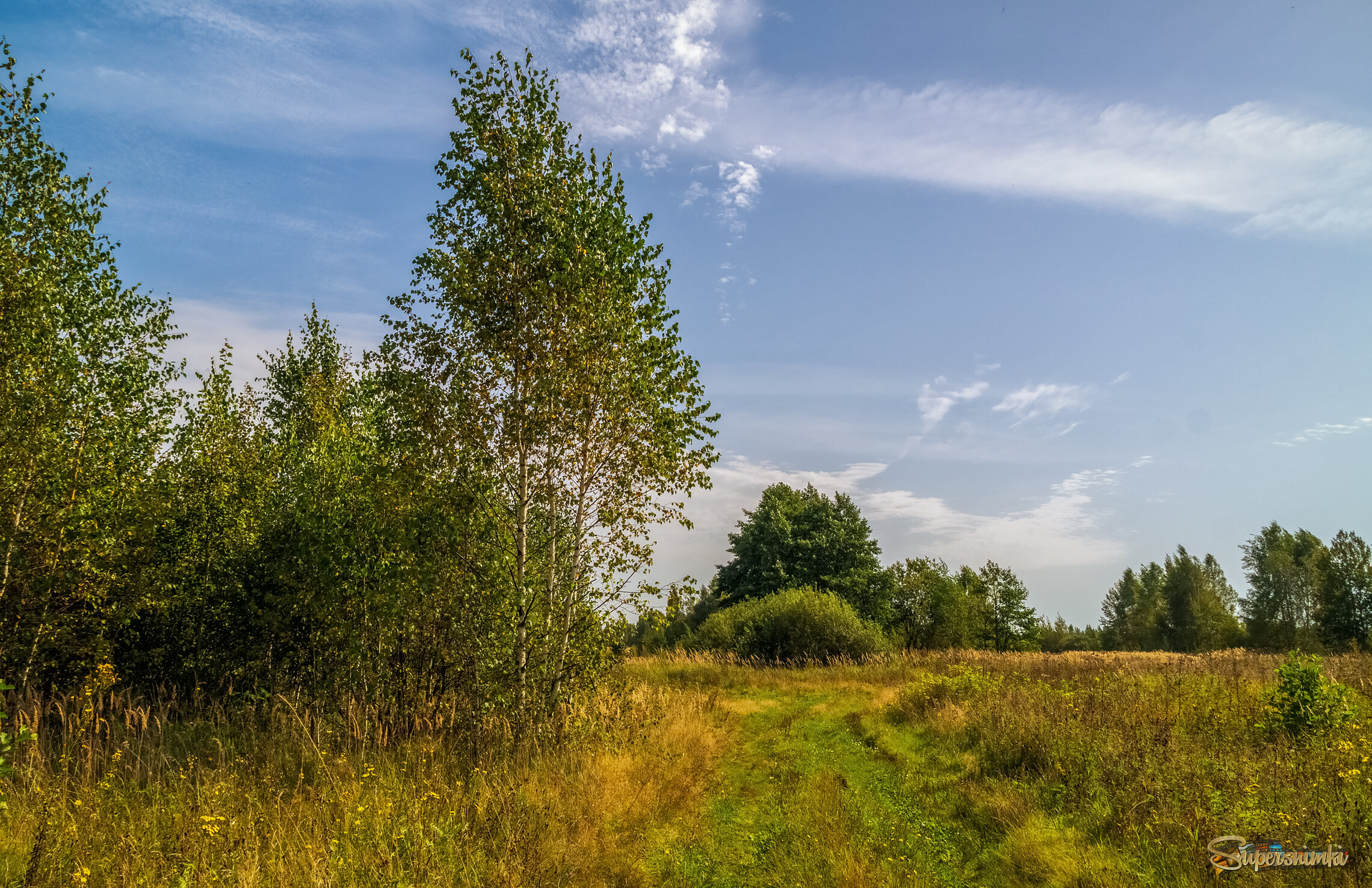 На исходе лета 8