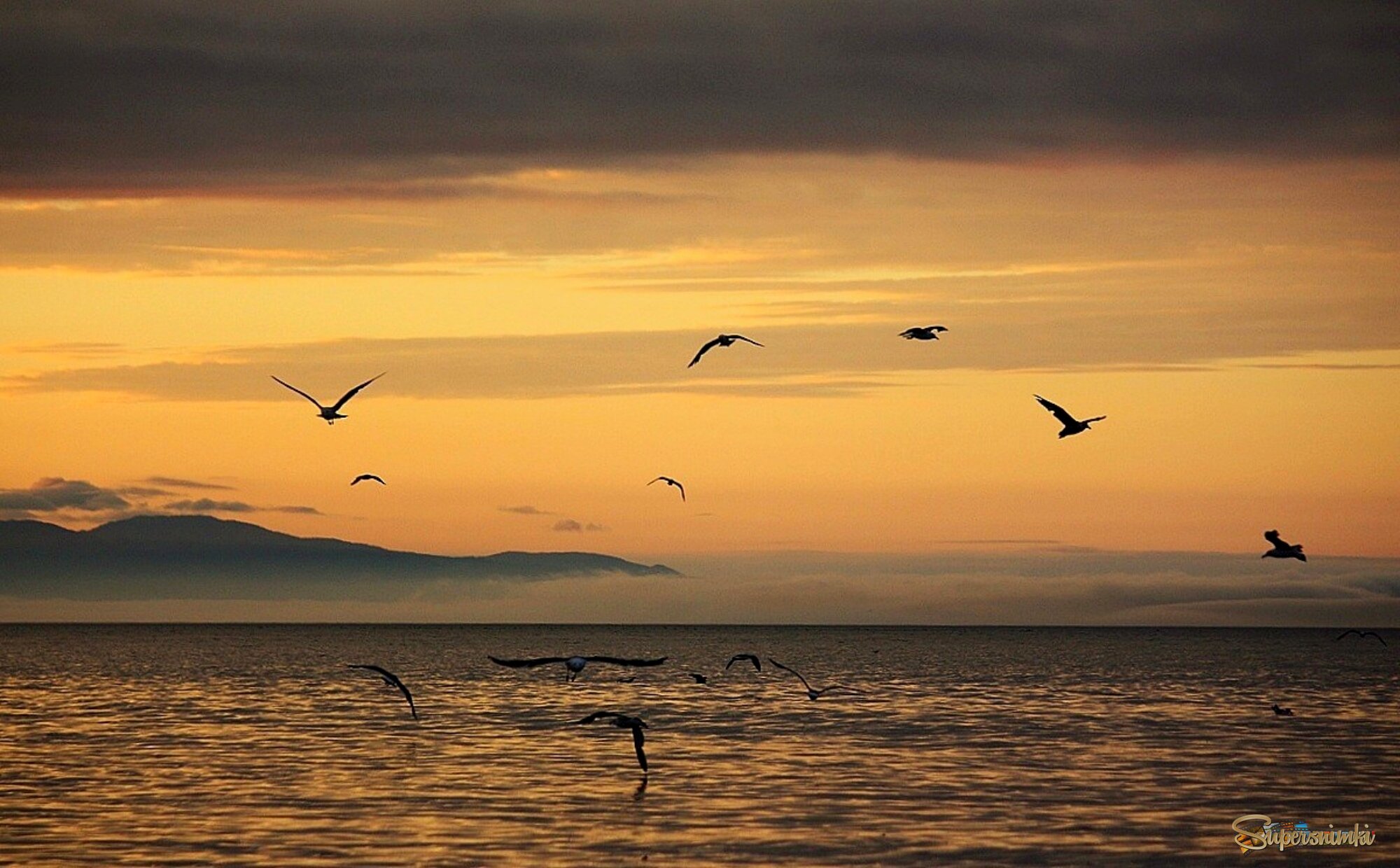 Утро Сахалина