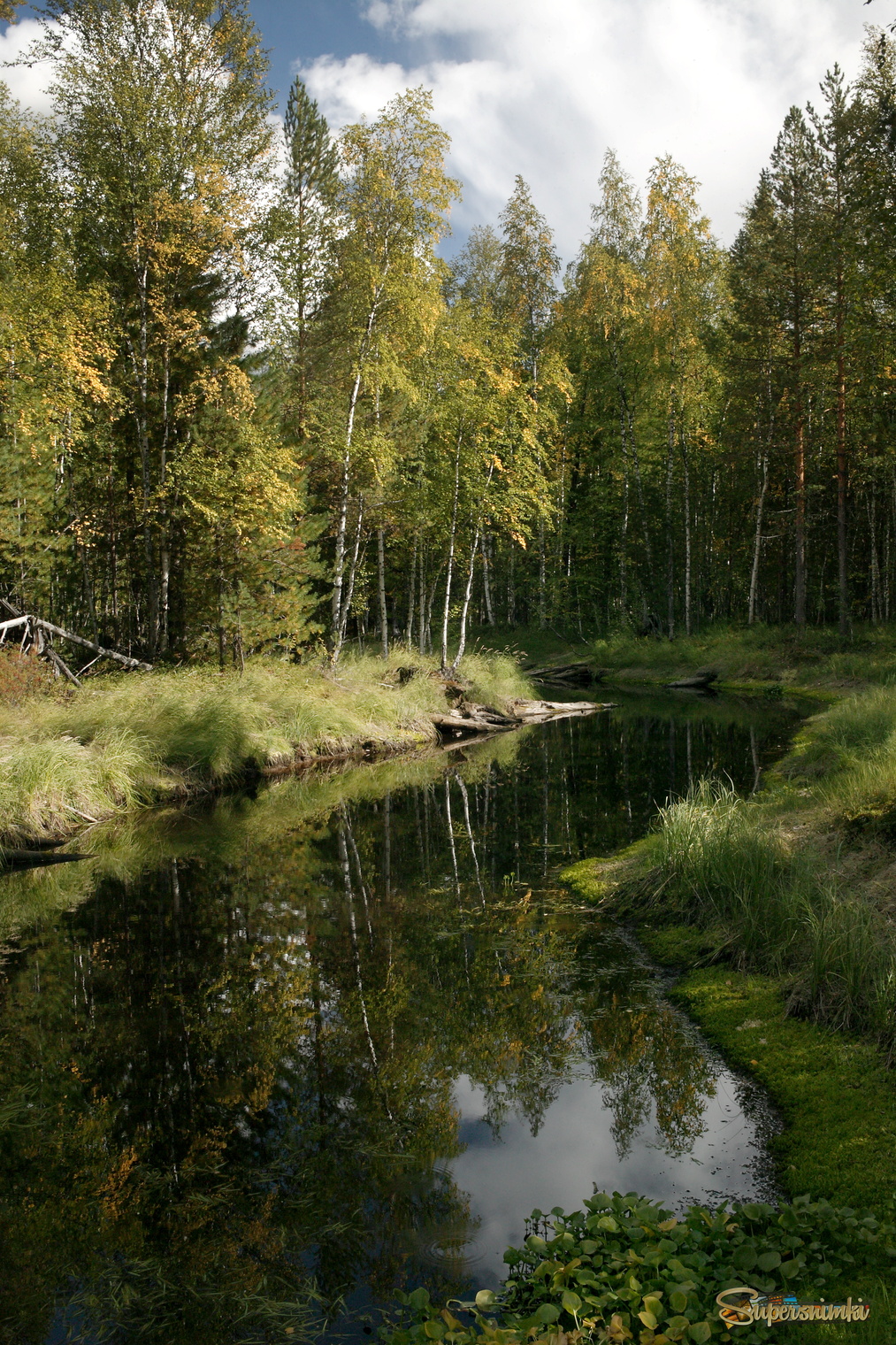 Большое Васюганское болото***
