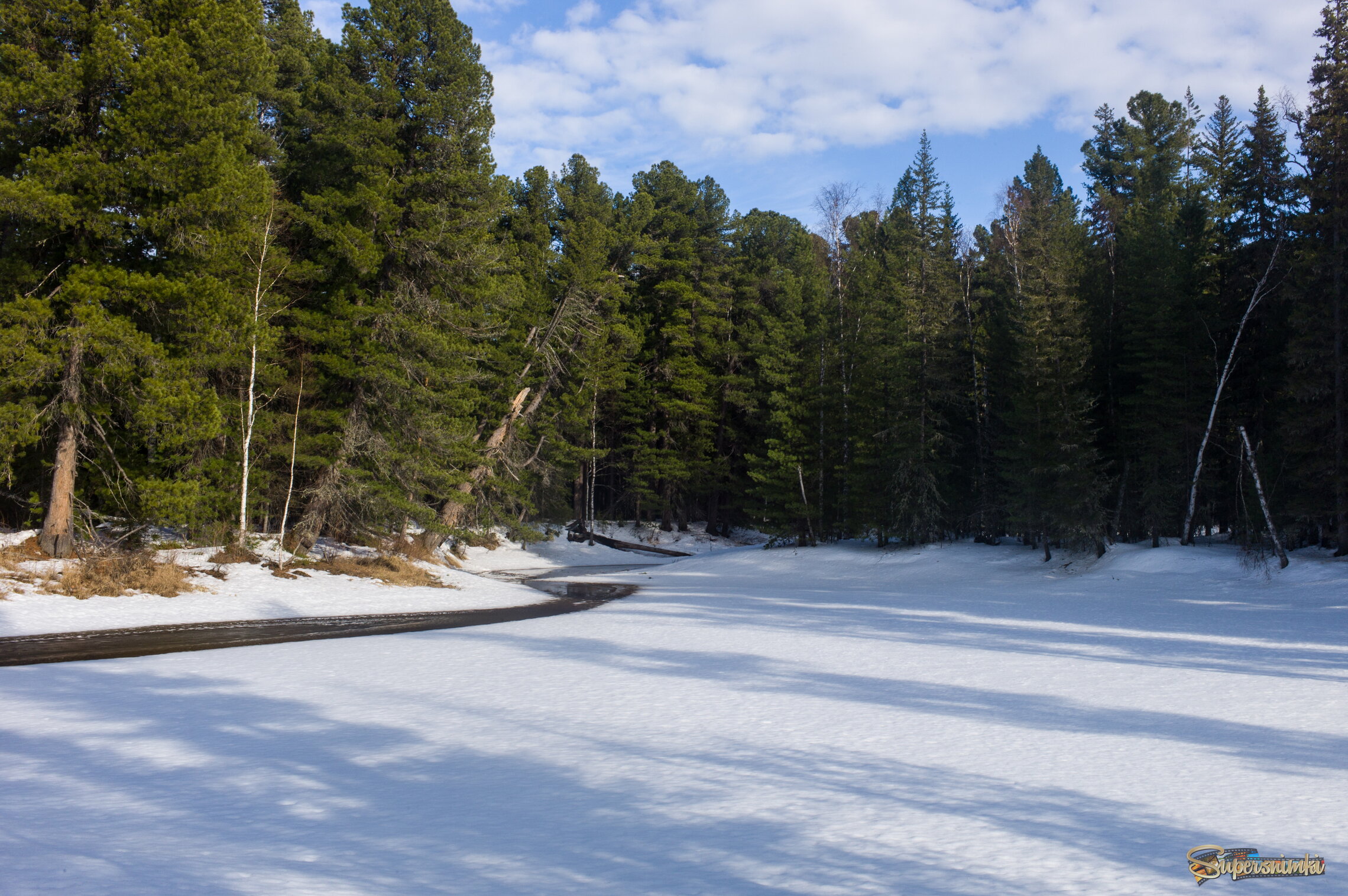 Большое Васюганское болото***