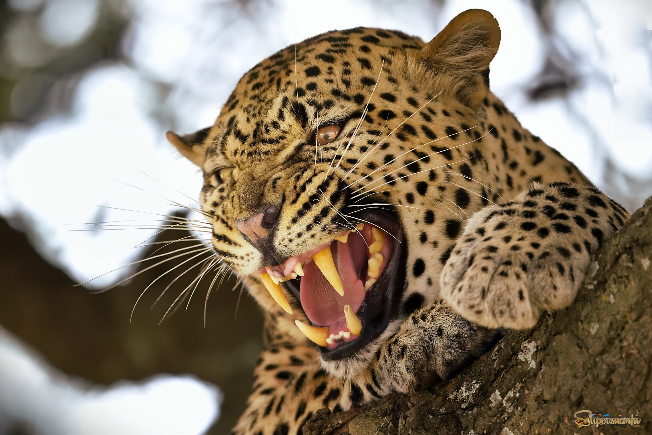 Раздражение