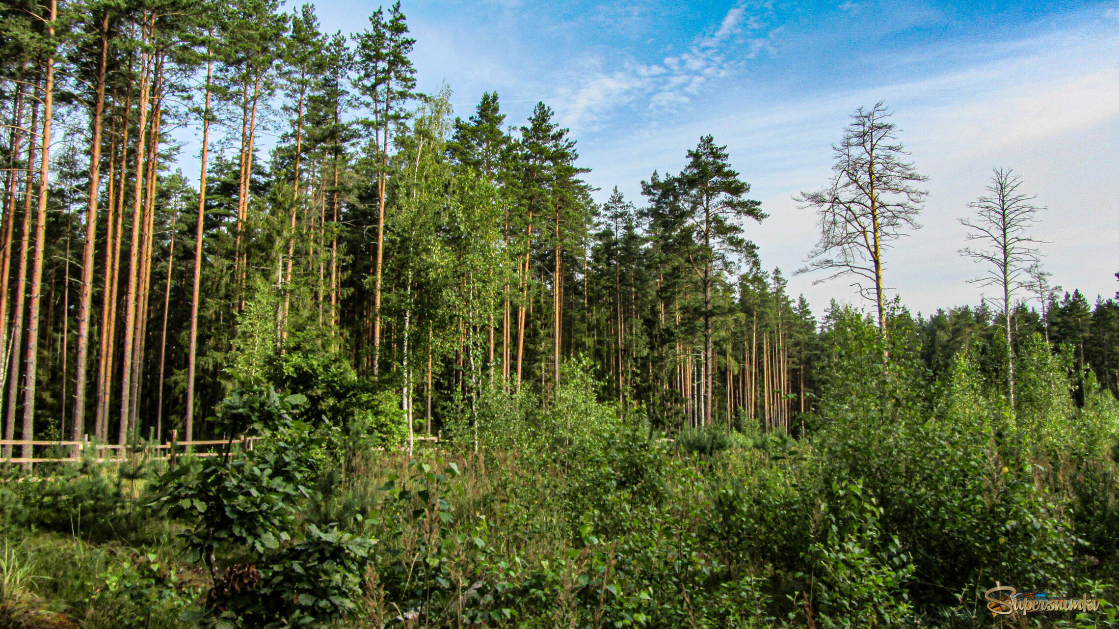 68b96781a9f44e8008dcdd5b