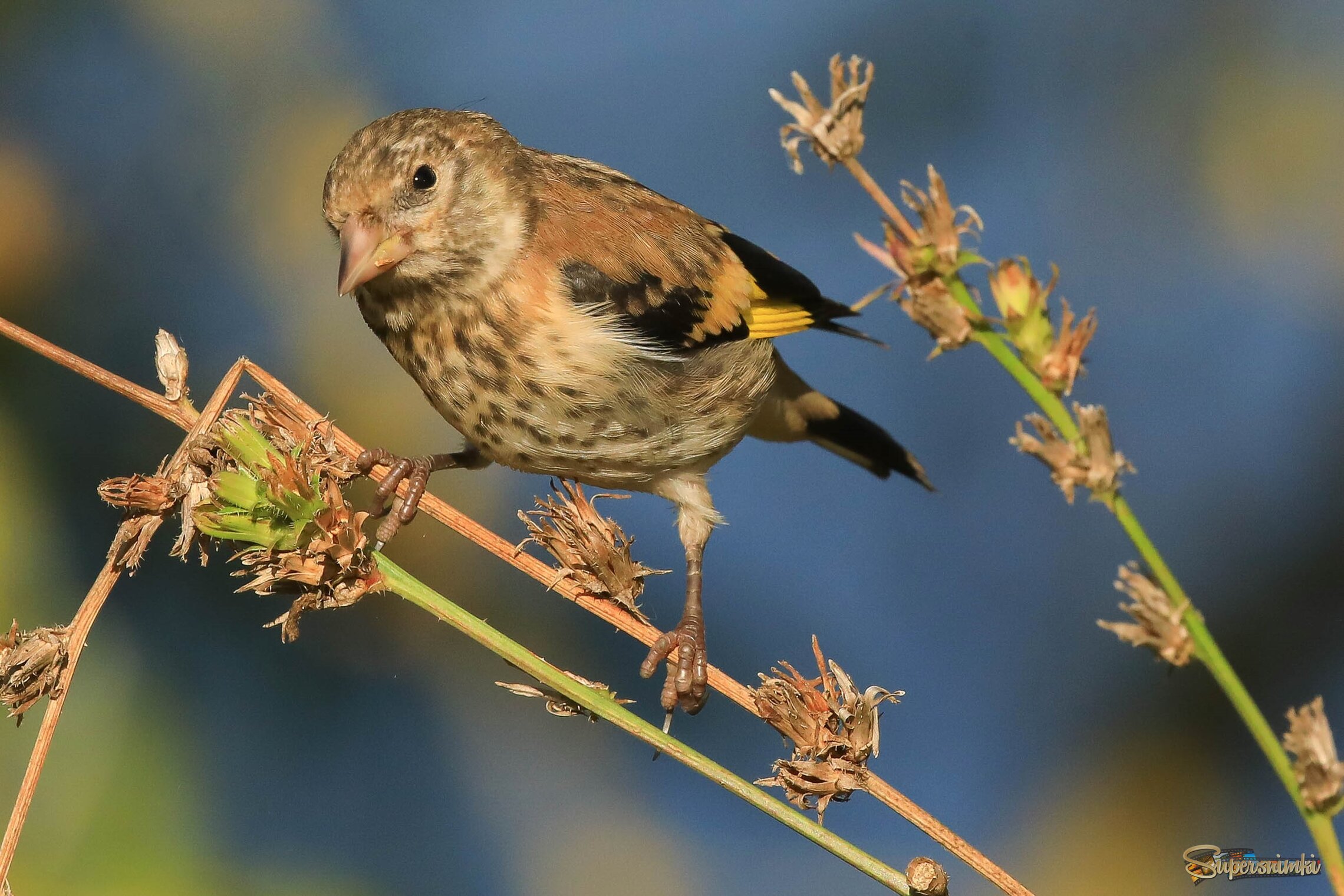 Хочу всё знать!
