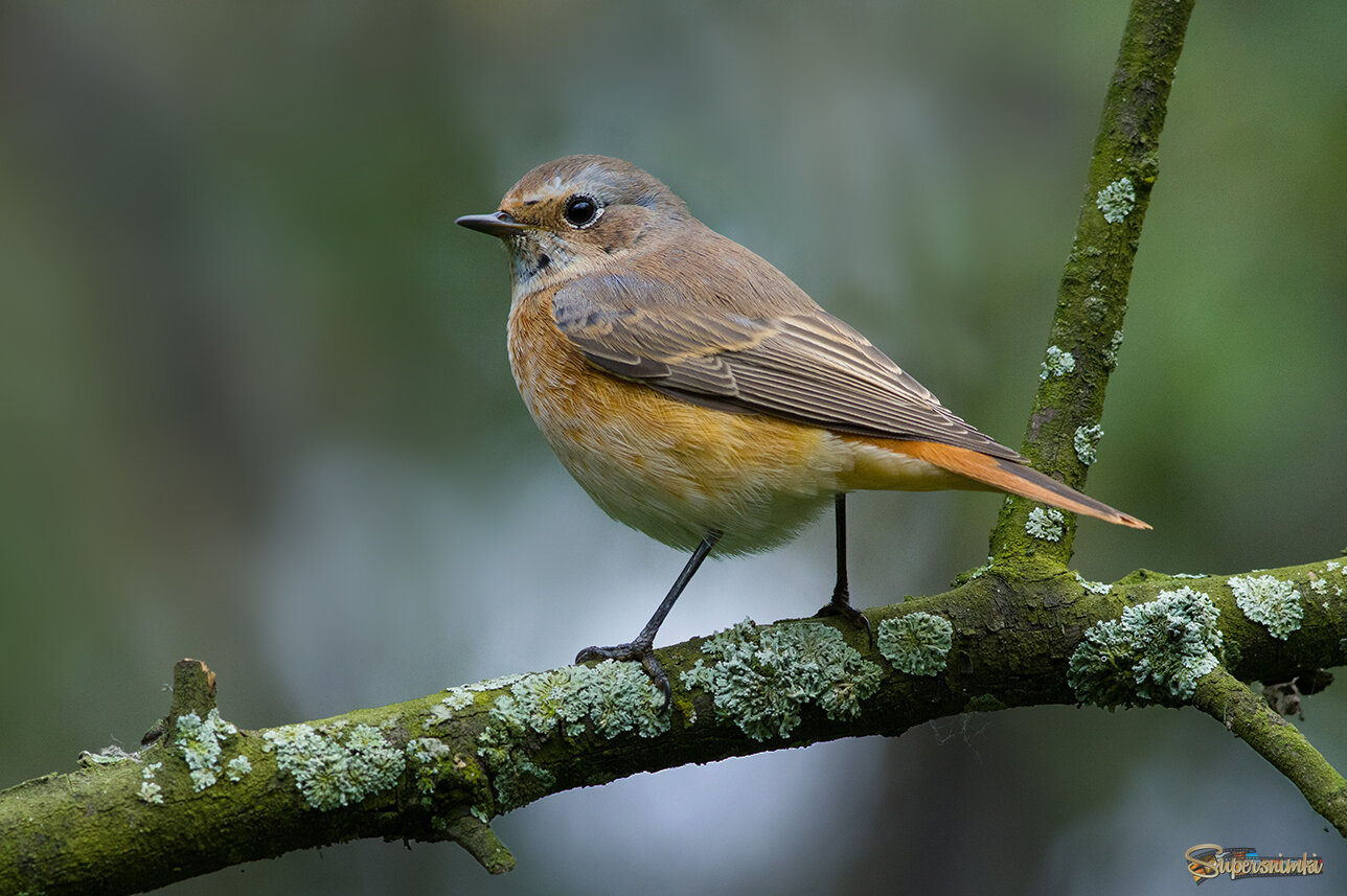 Вот и осень уже...