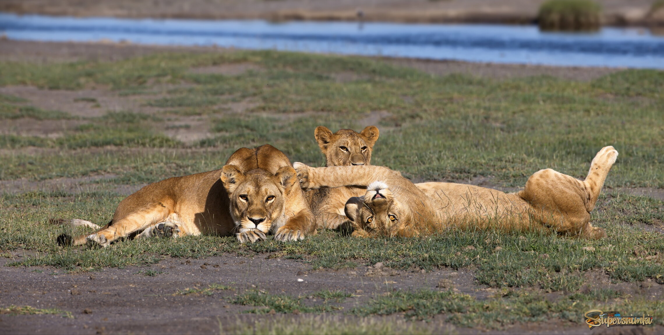 Отдых на троих