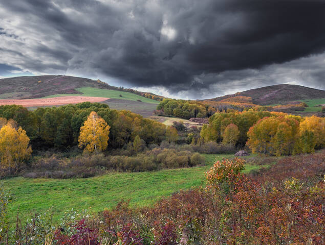 Осень
