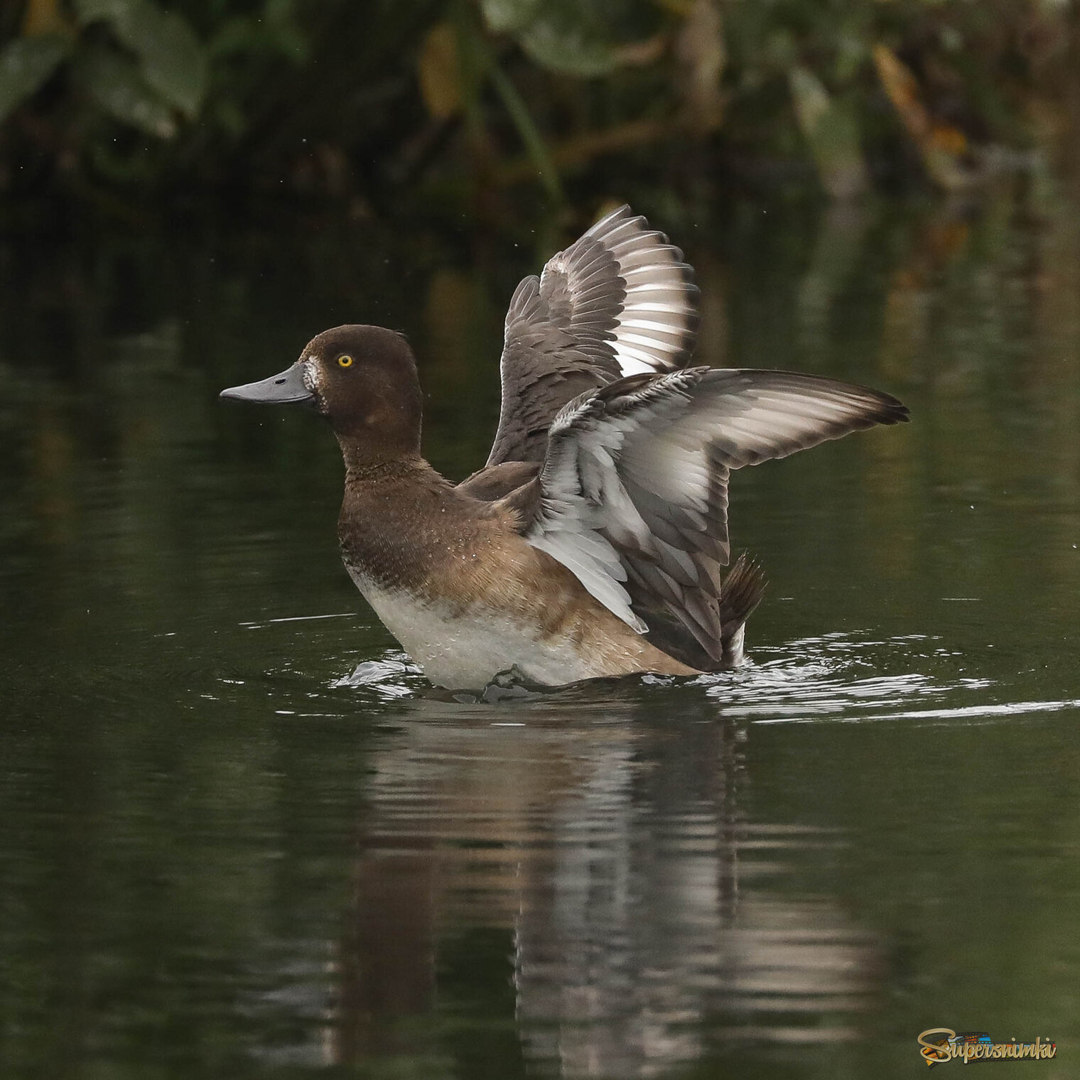 Хорошо поразмяться!