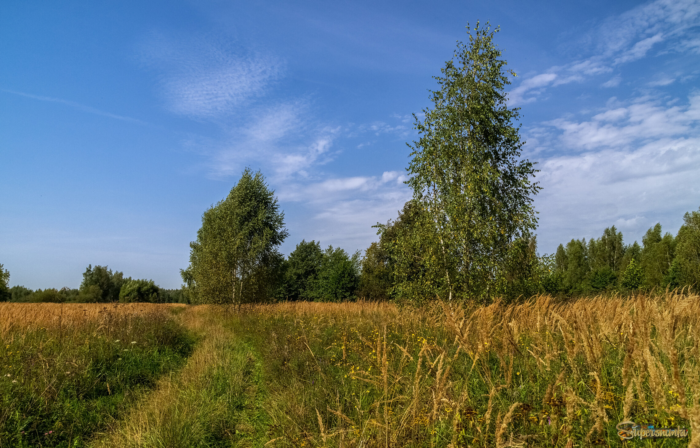 На исходе лета 10 