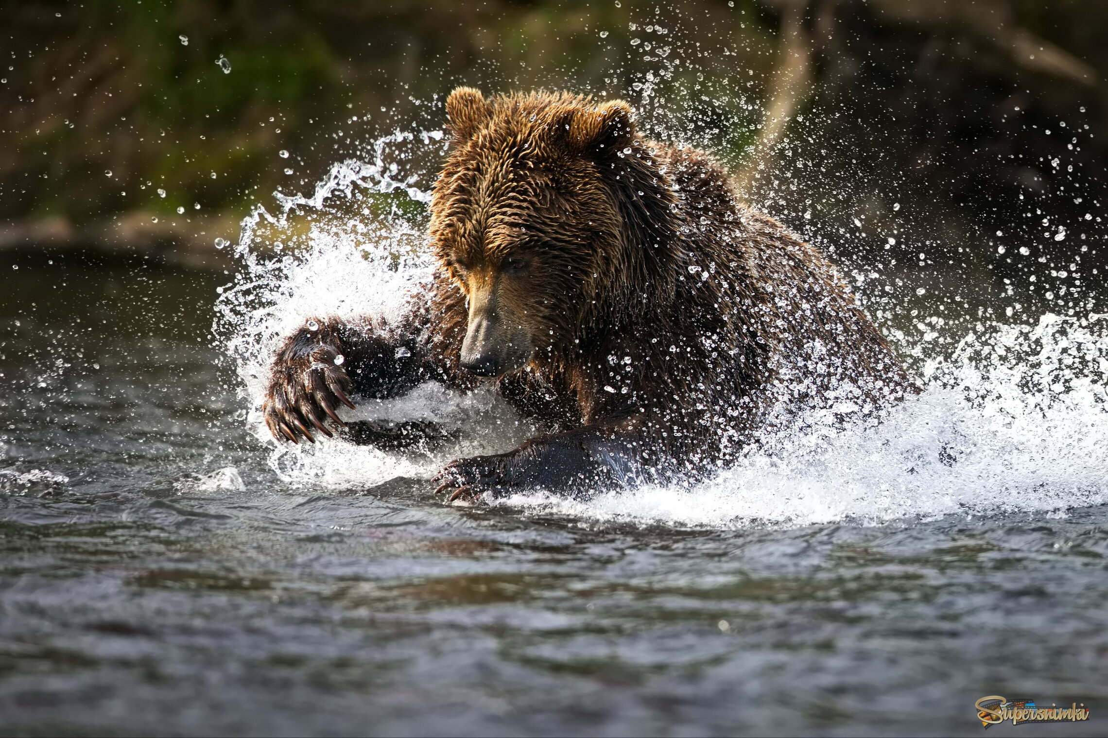 Почти поймал!