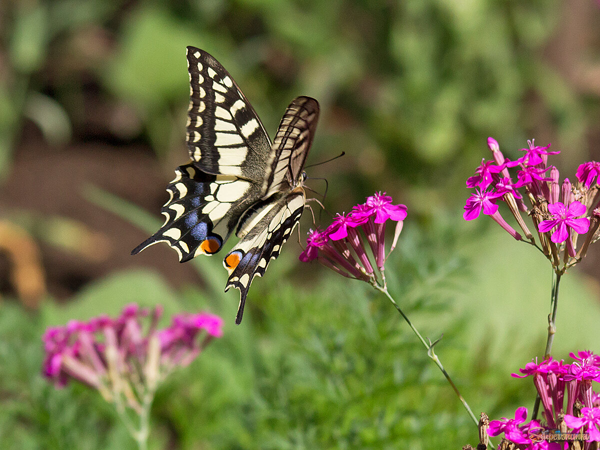 Перед посадкой.