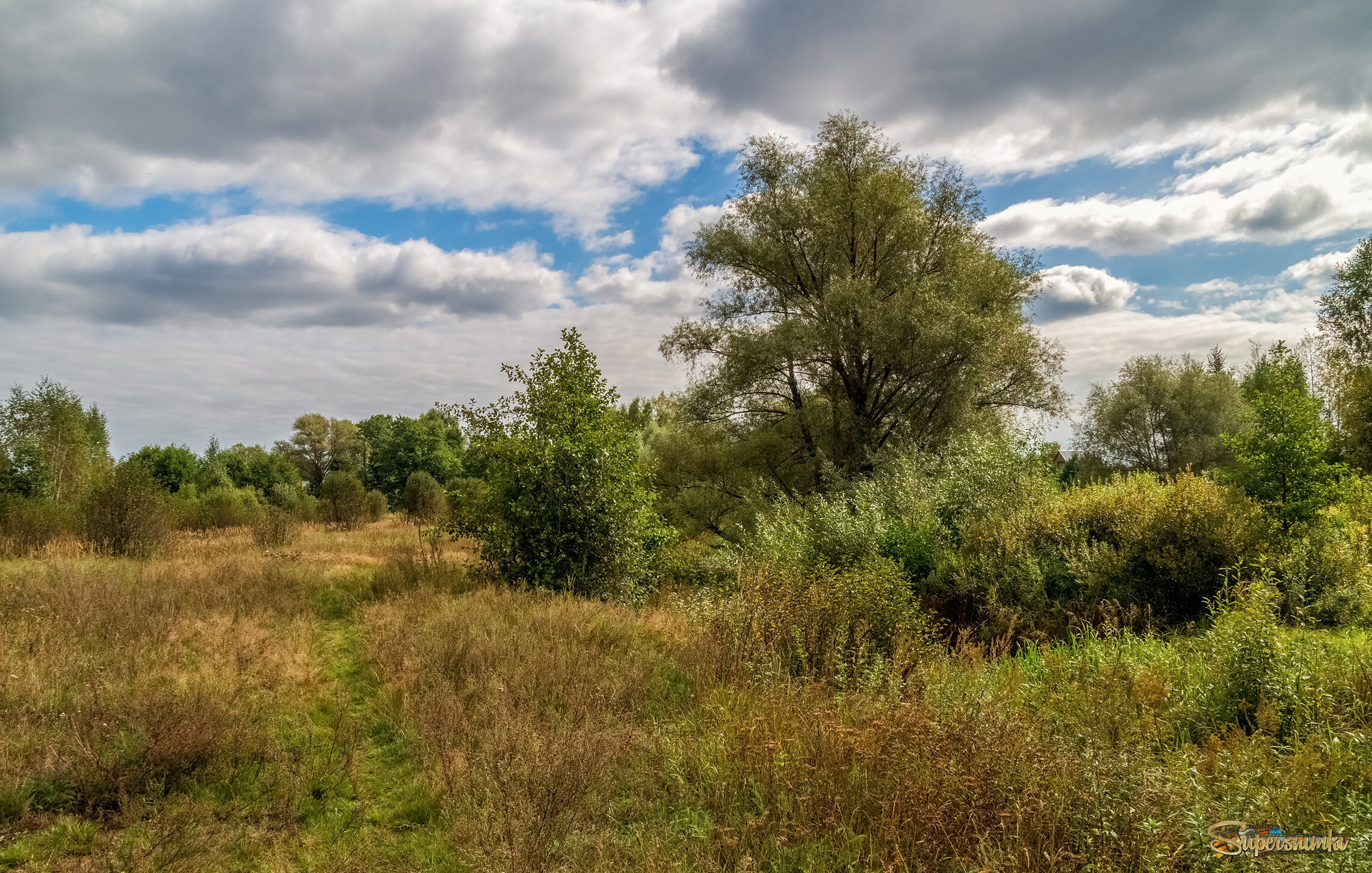 Осень она не спросит ... 