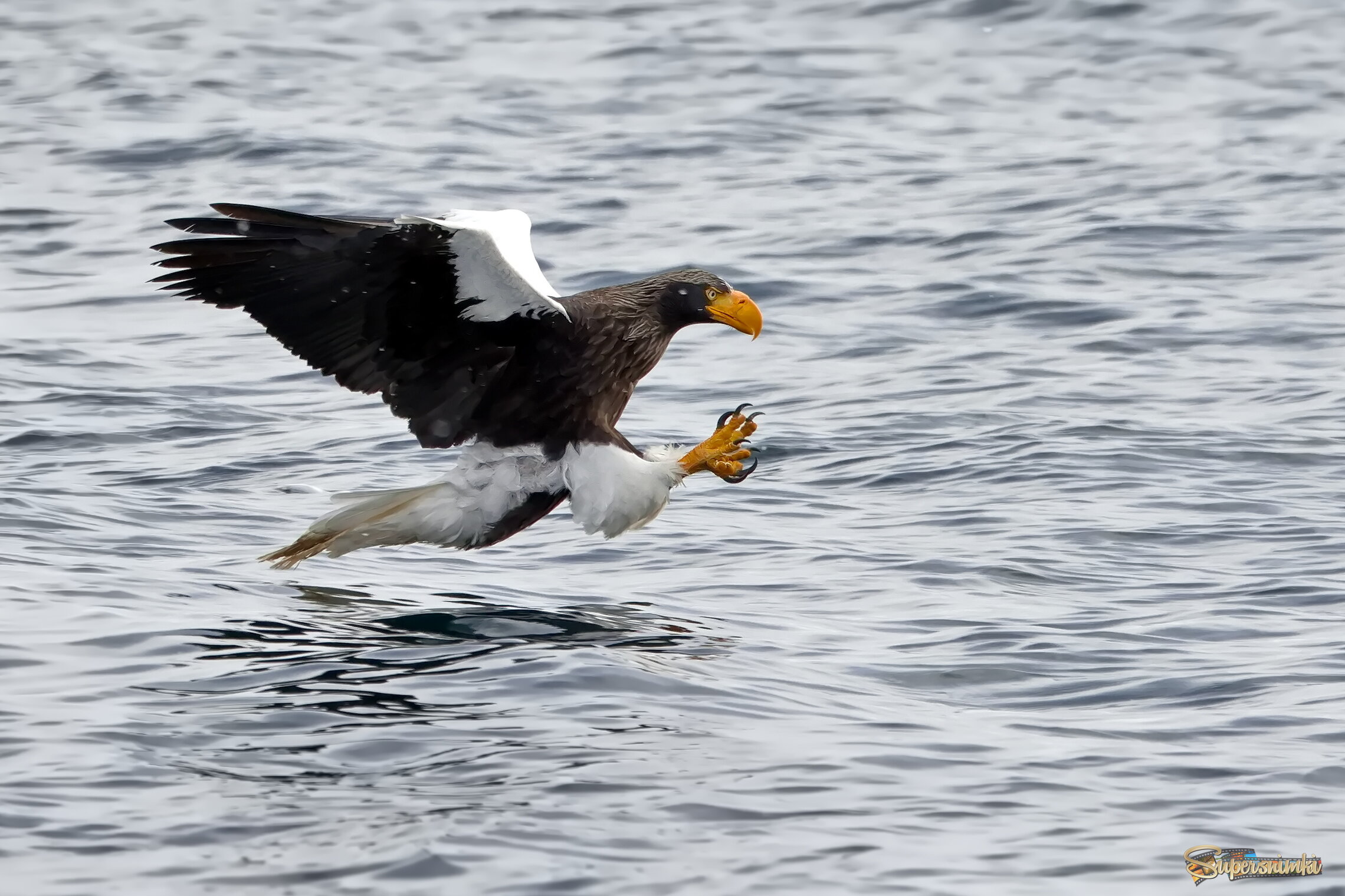 На бреющем полете