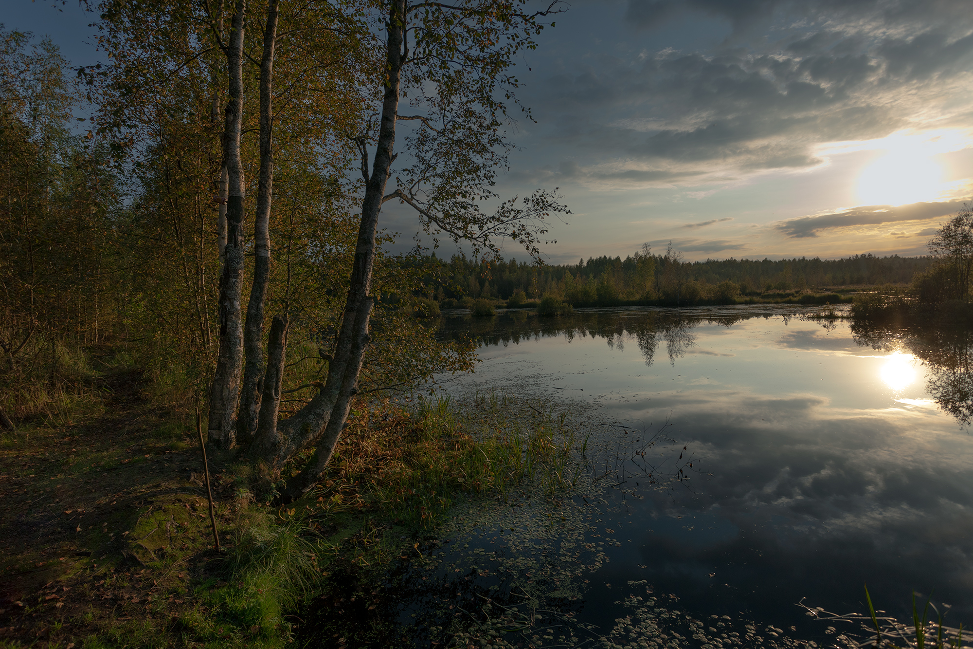 Тихая заводь