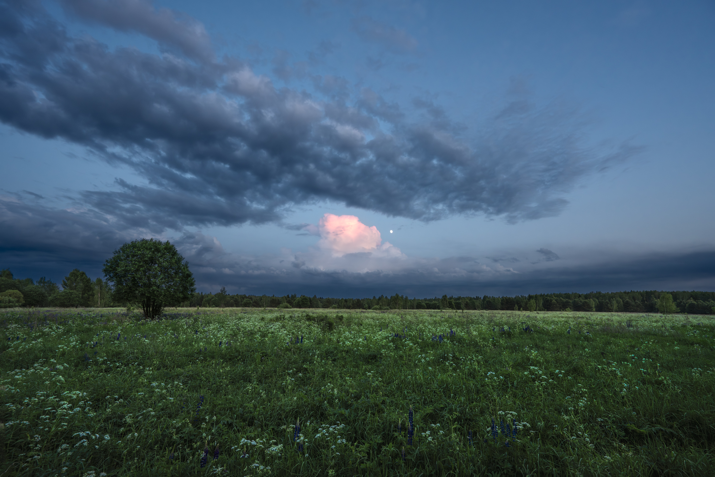 летний вечер