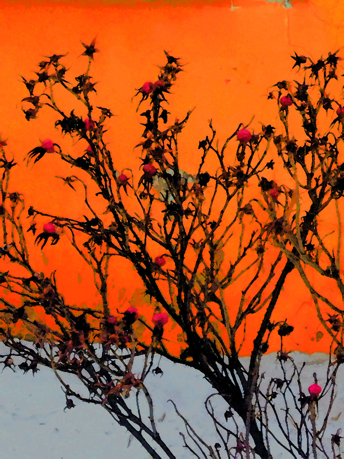 экcтракт наливки от простуды