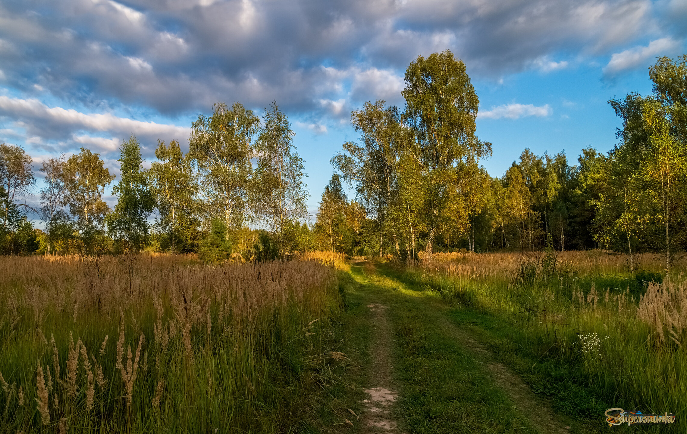 Осень она не спросит ... 