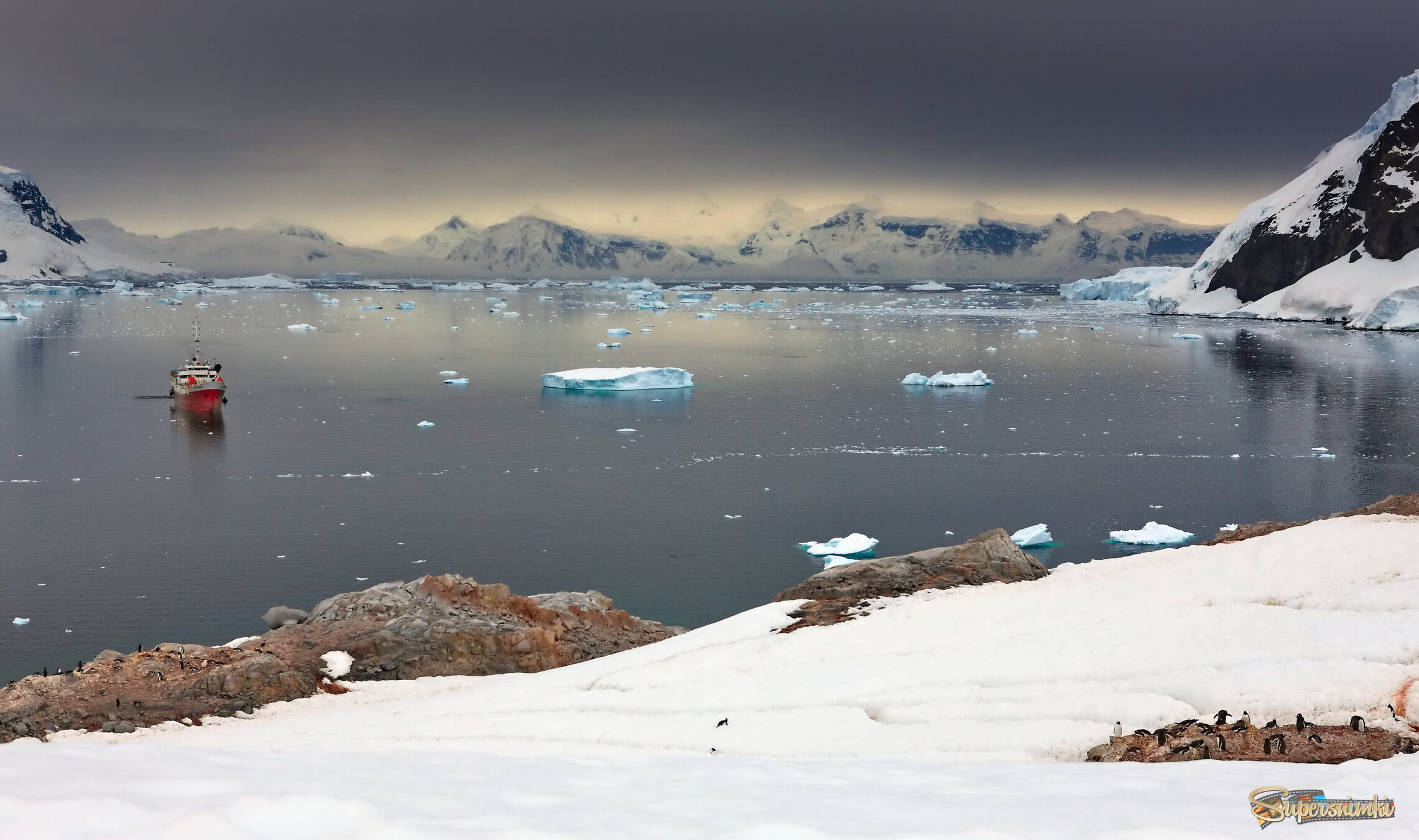 Место встречи людей и пингвинов