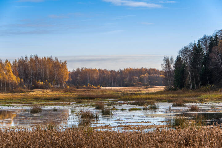 Осень.