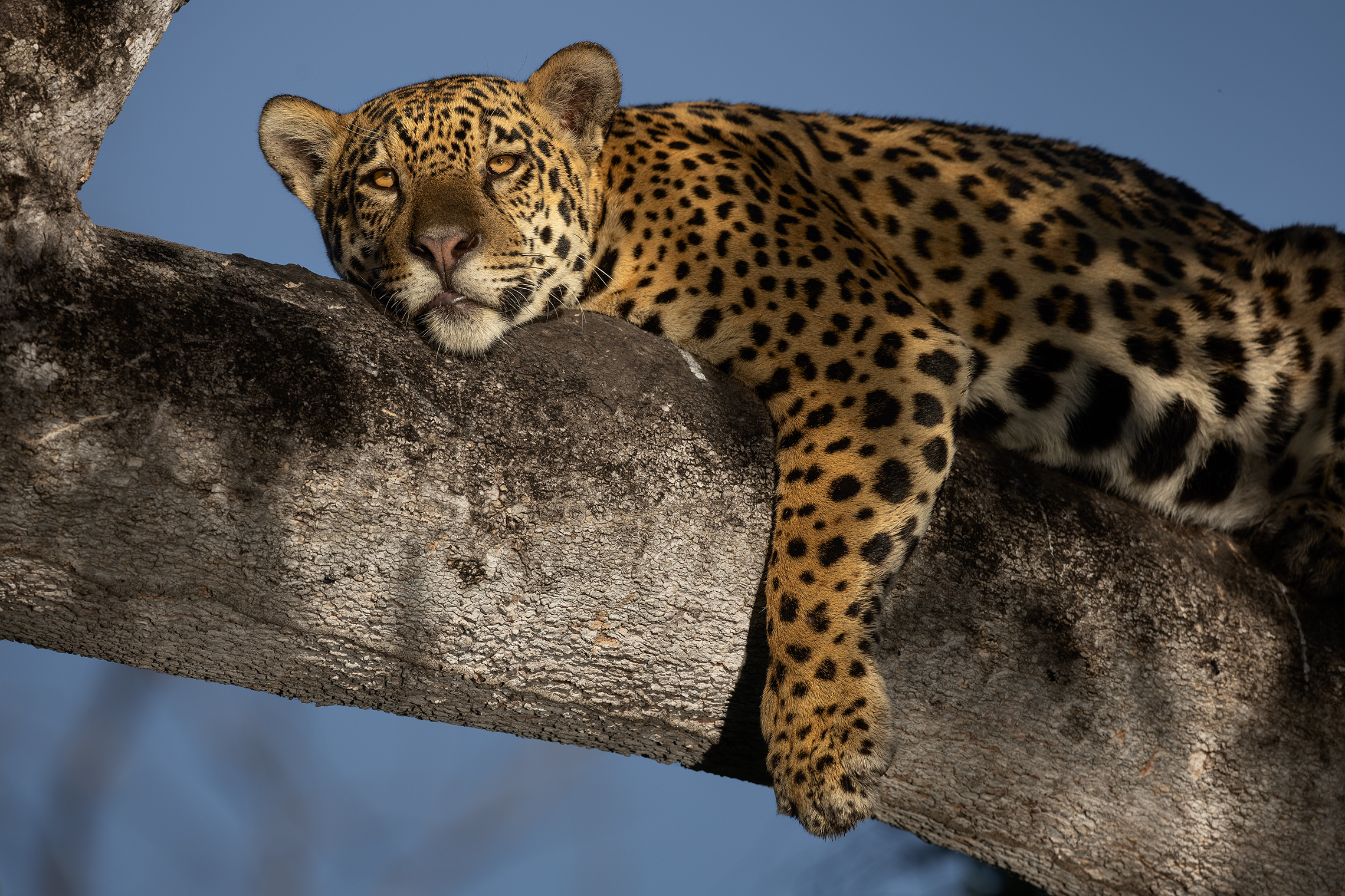 Кровать должна быть удобной 