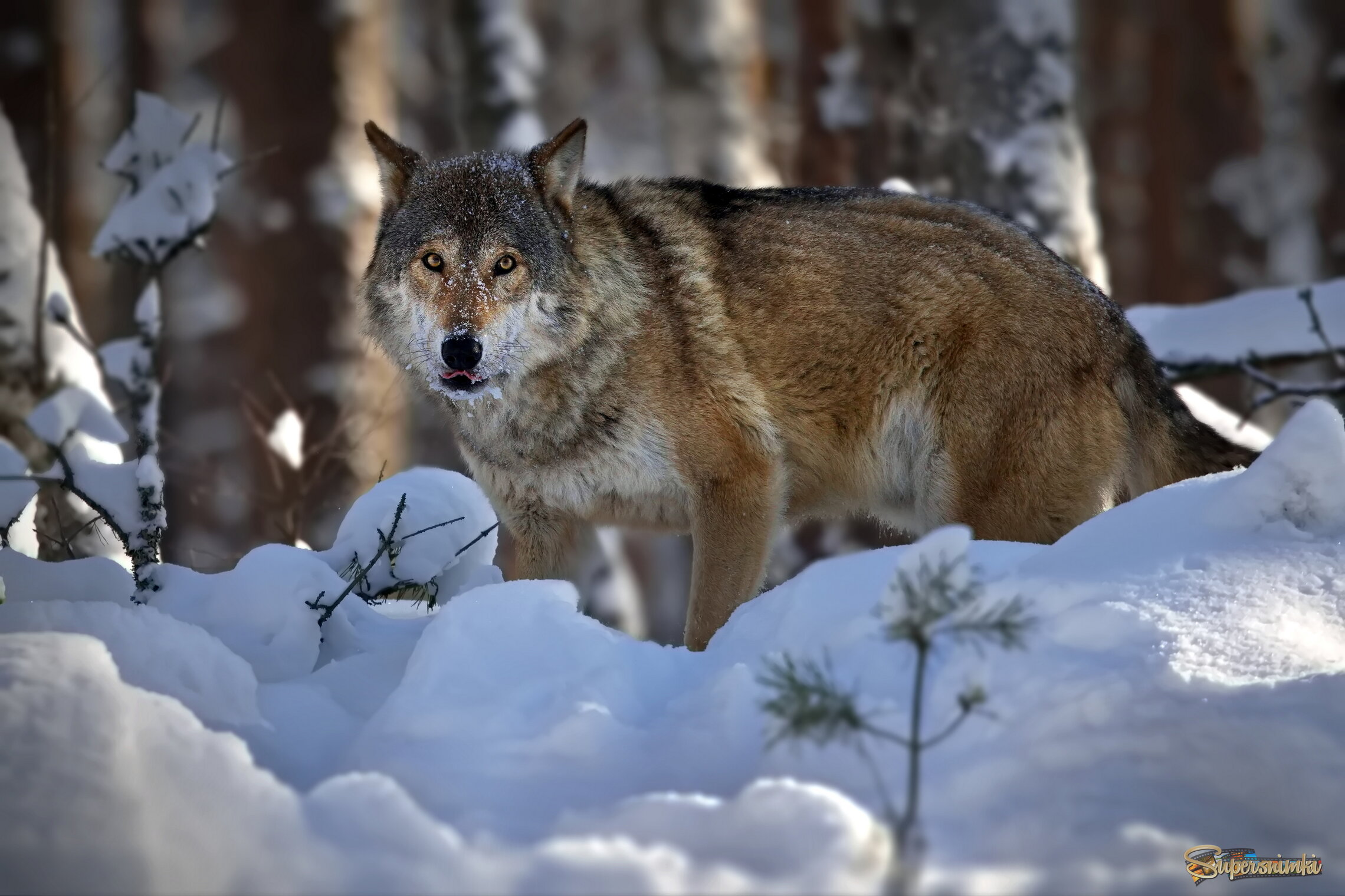Таки заметил!