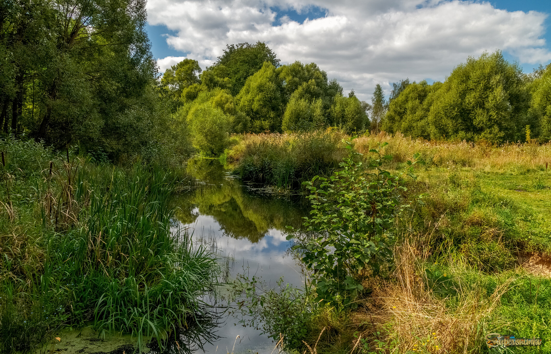 Осень она не спросит 8 