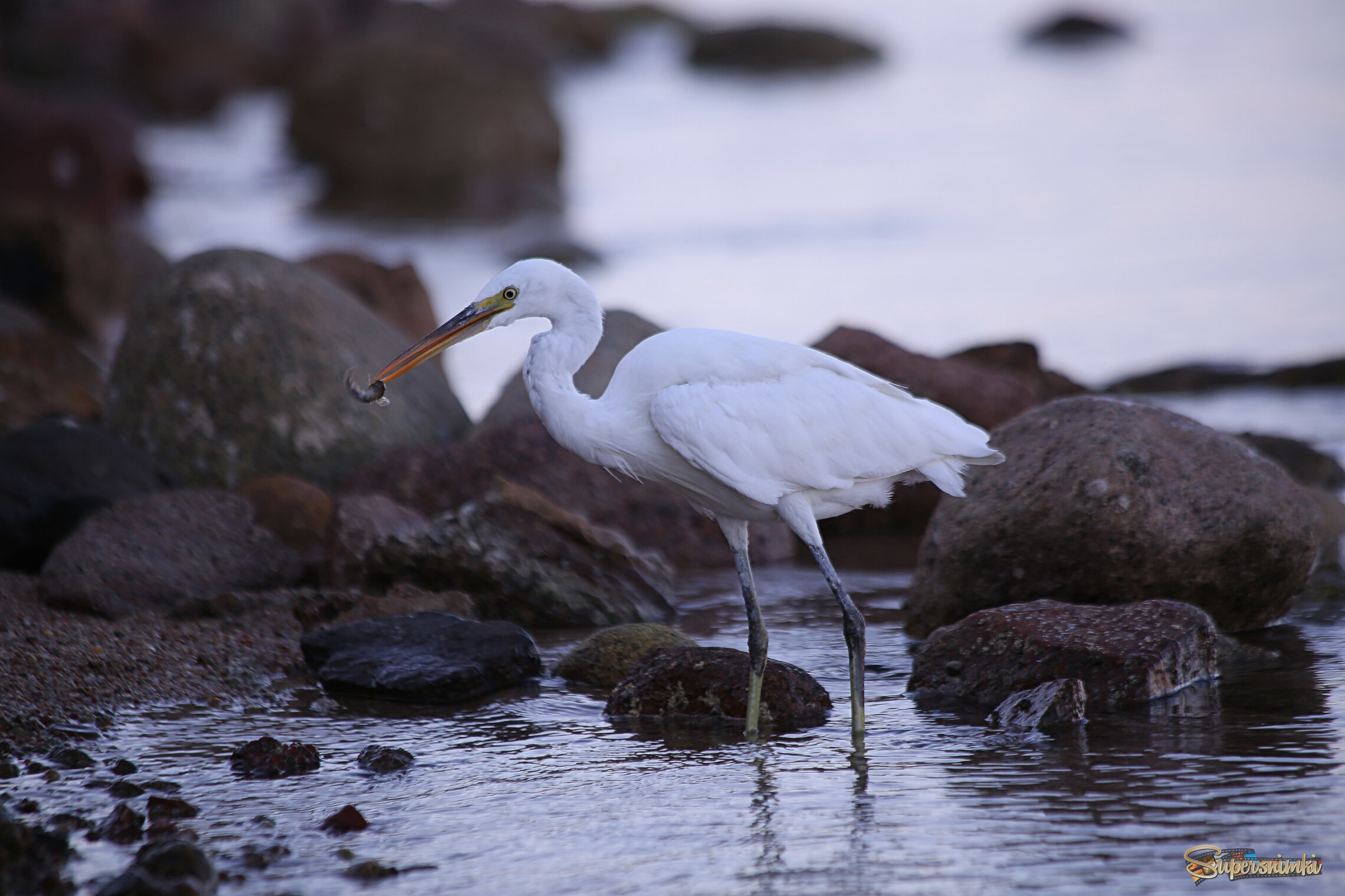 Однажды утром