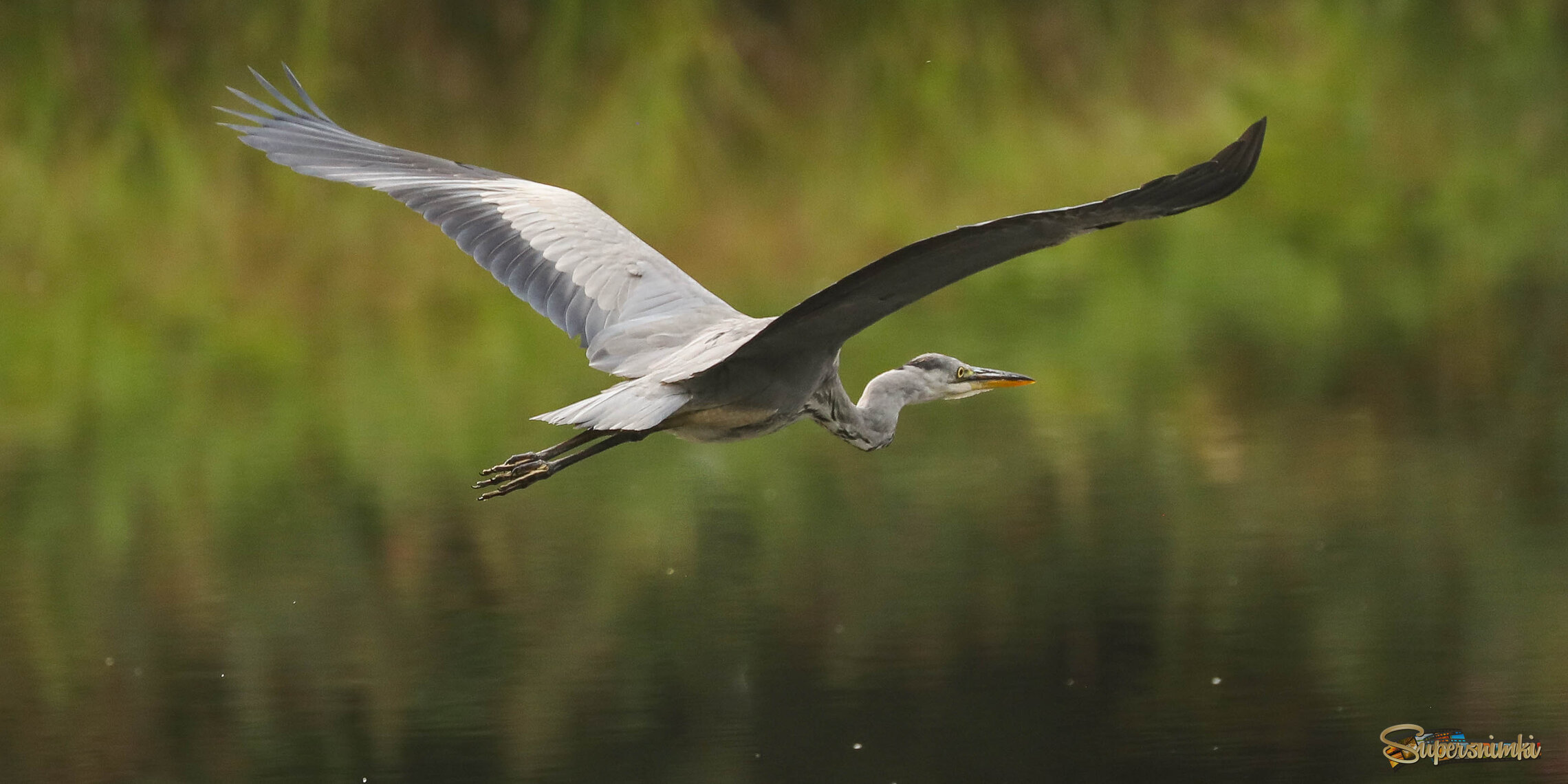 Полетела по делам