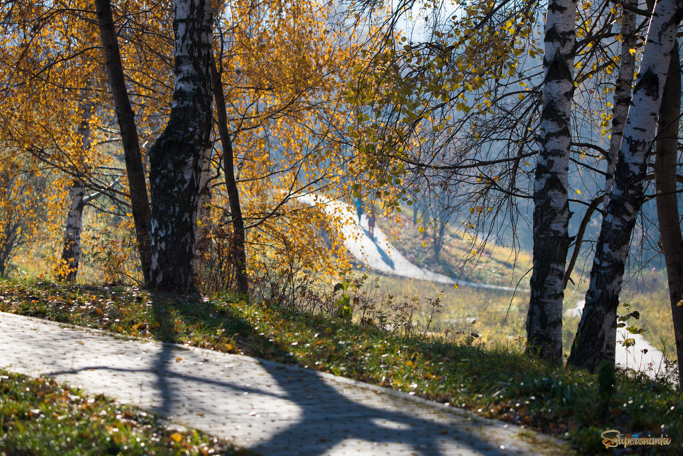 Осень в парке.