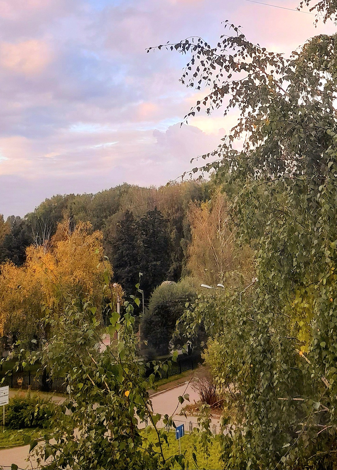 Краски осени .