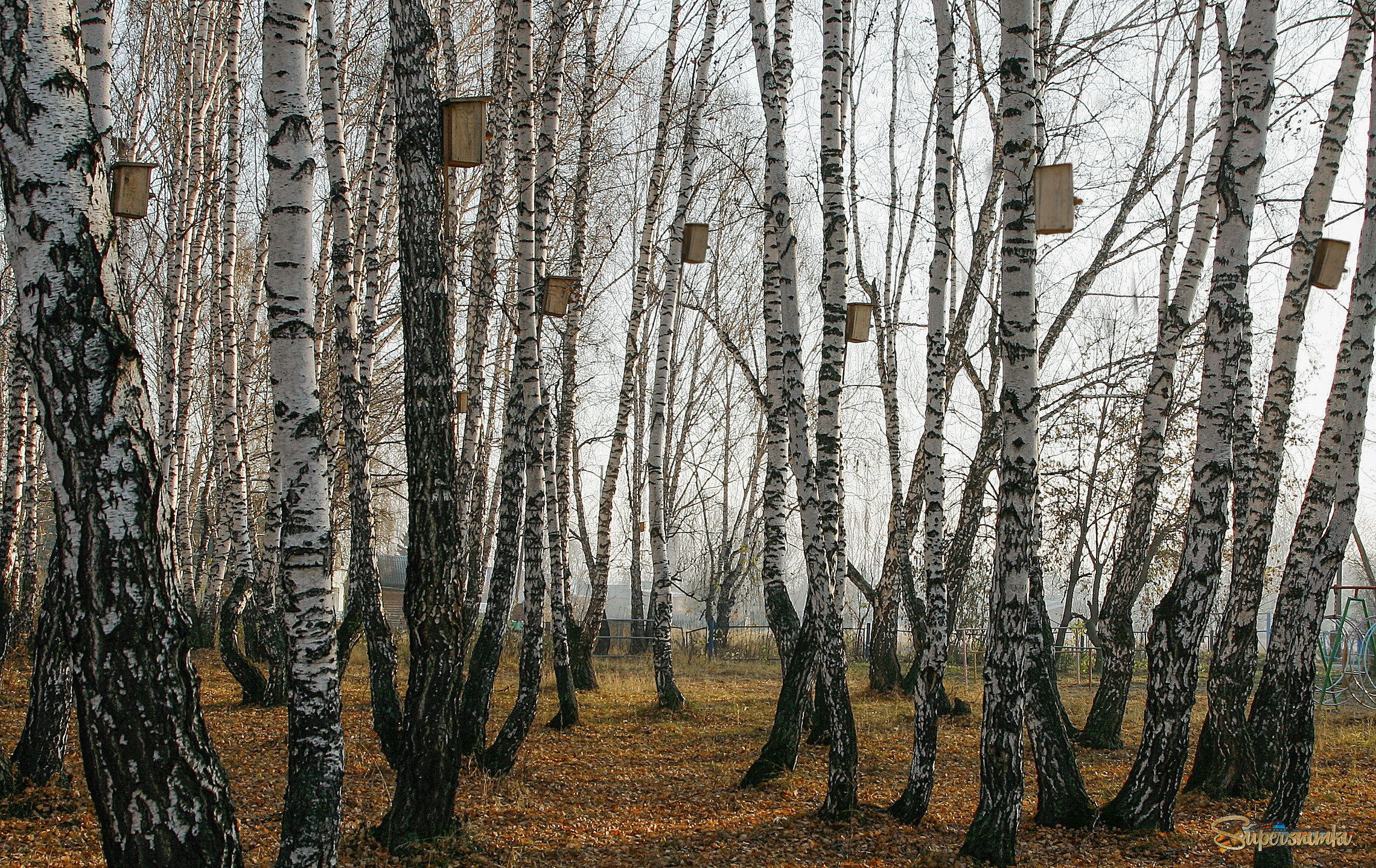 До Весны! Мы ждем вас!