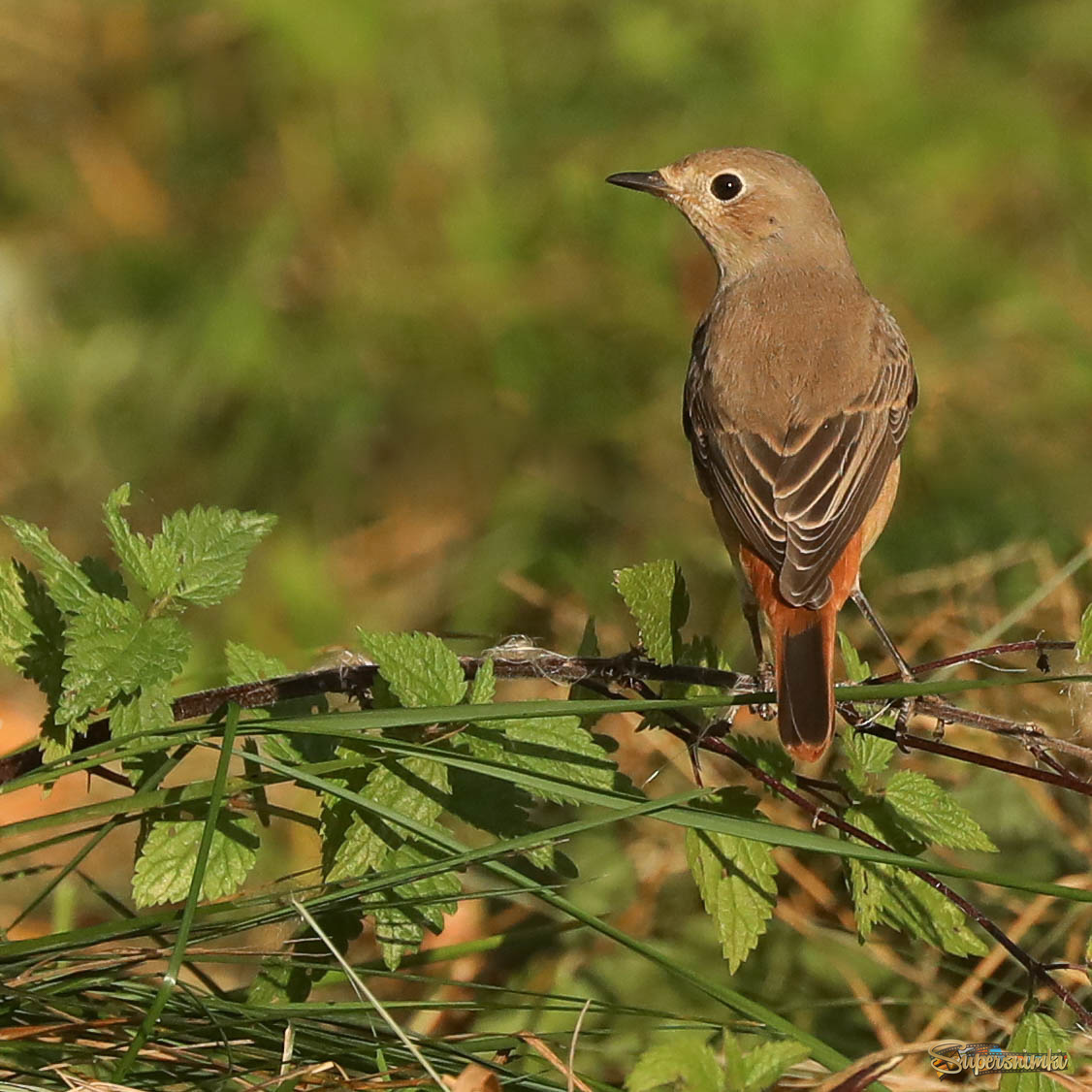 И что дальше?