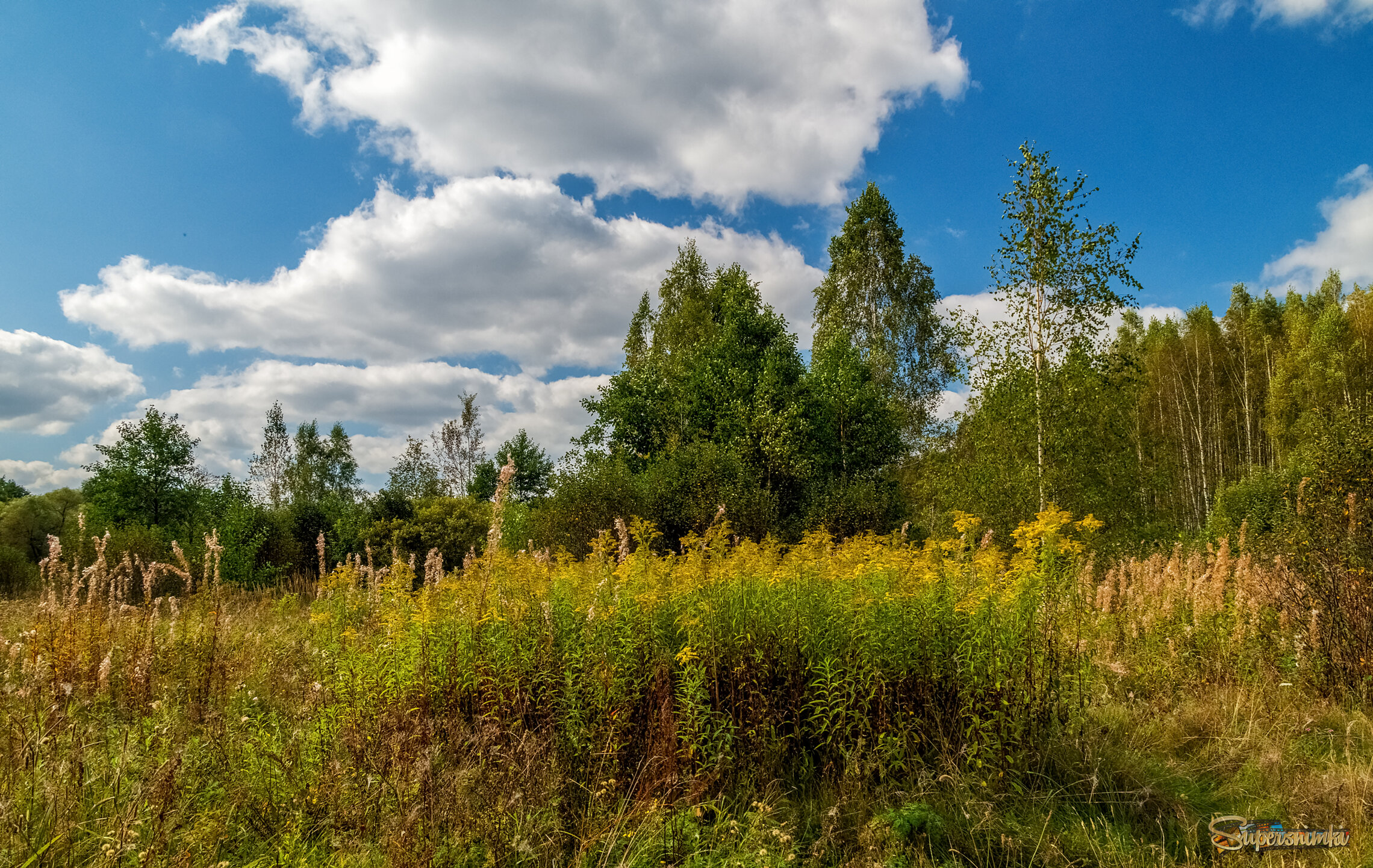 Осень она не спросит 13 
