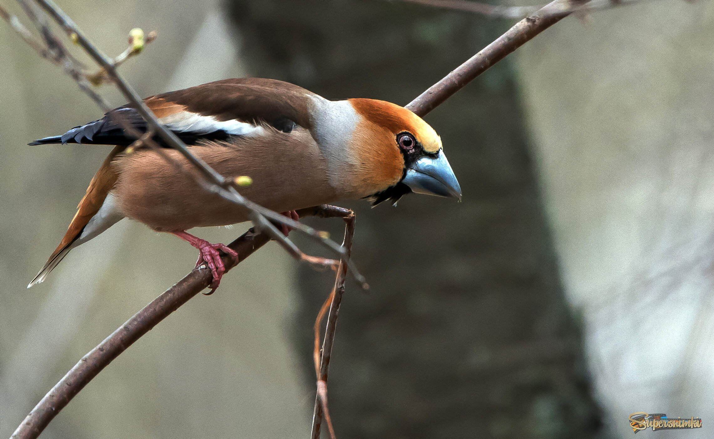 68c90c6def39cf0ee134dfd8