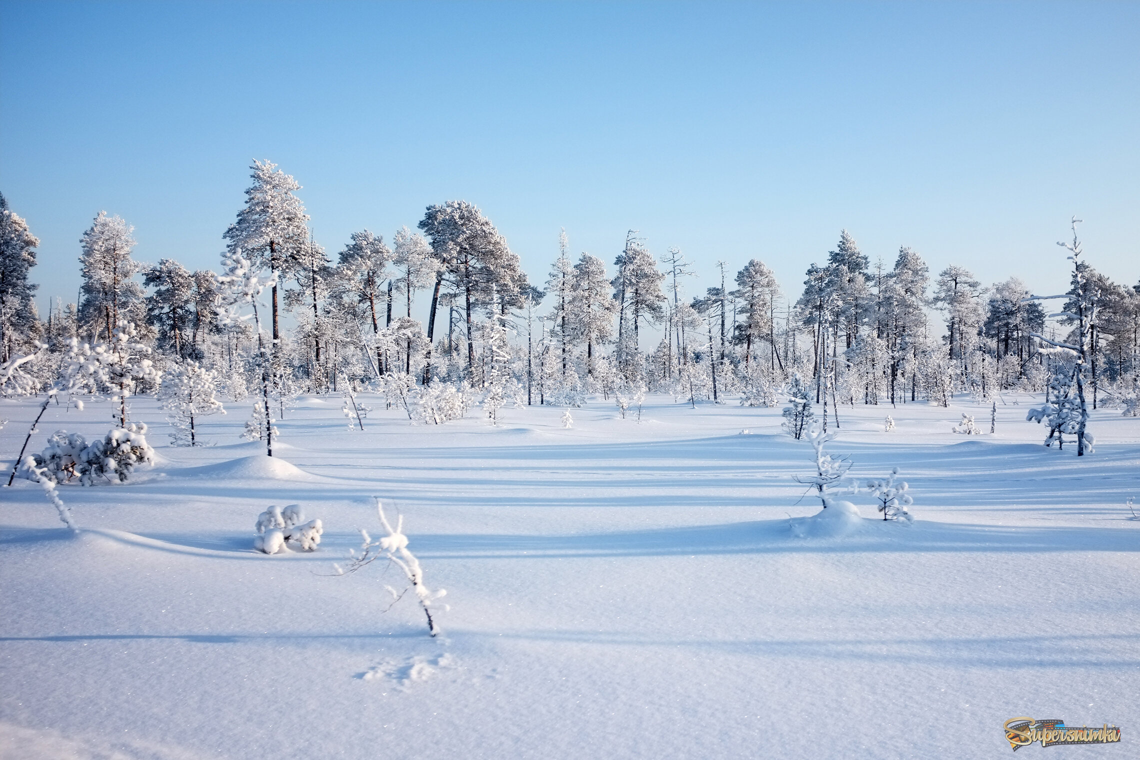Большое Васюганское болото***