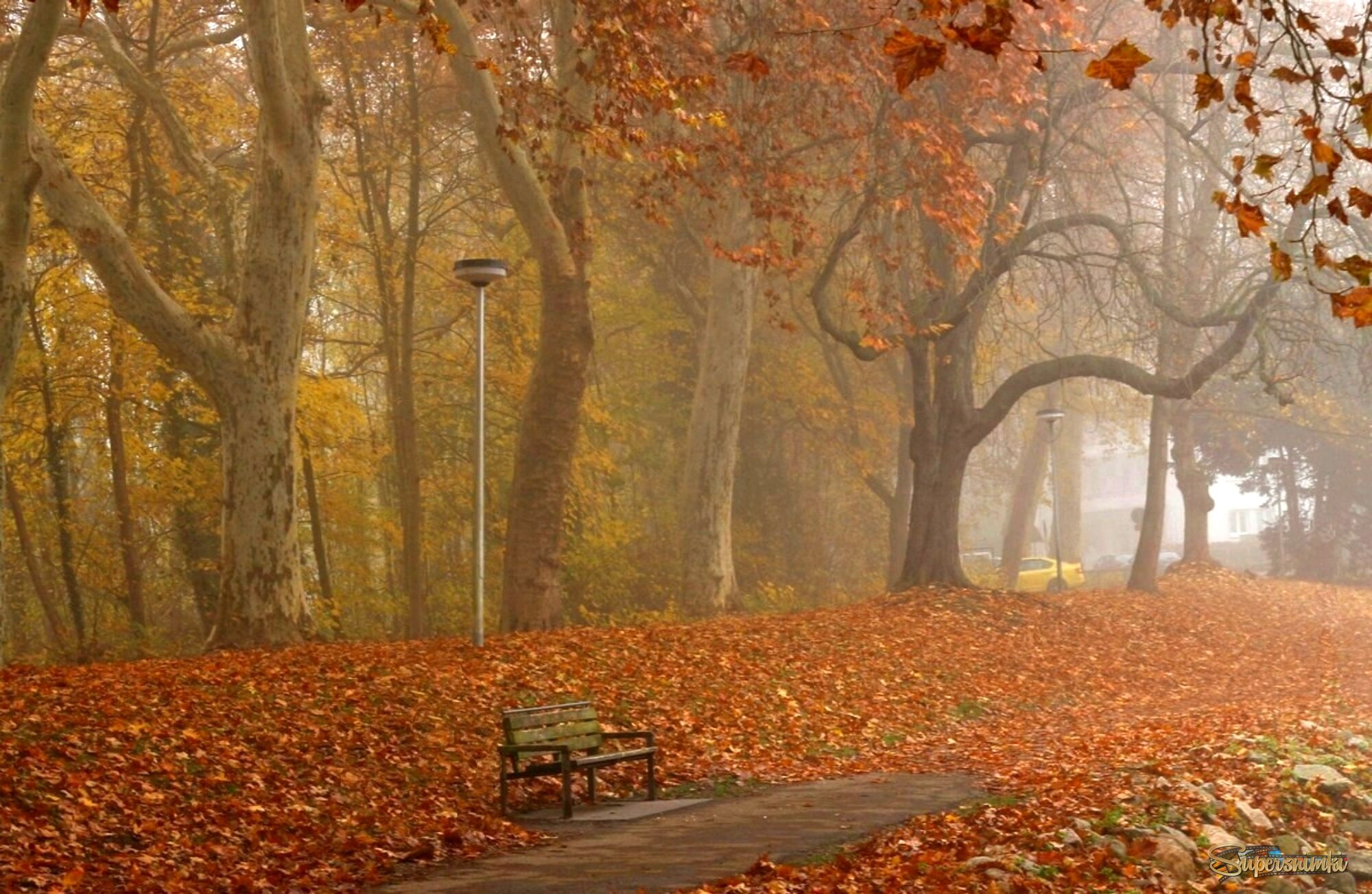 В туманном парке бродит осень