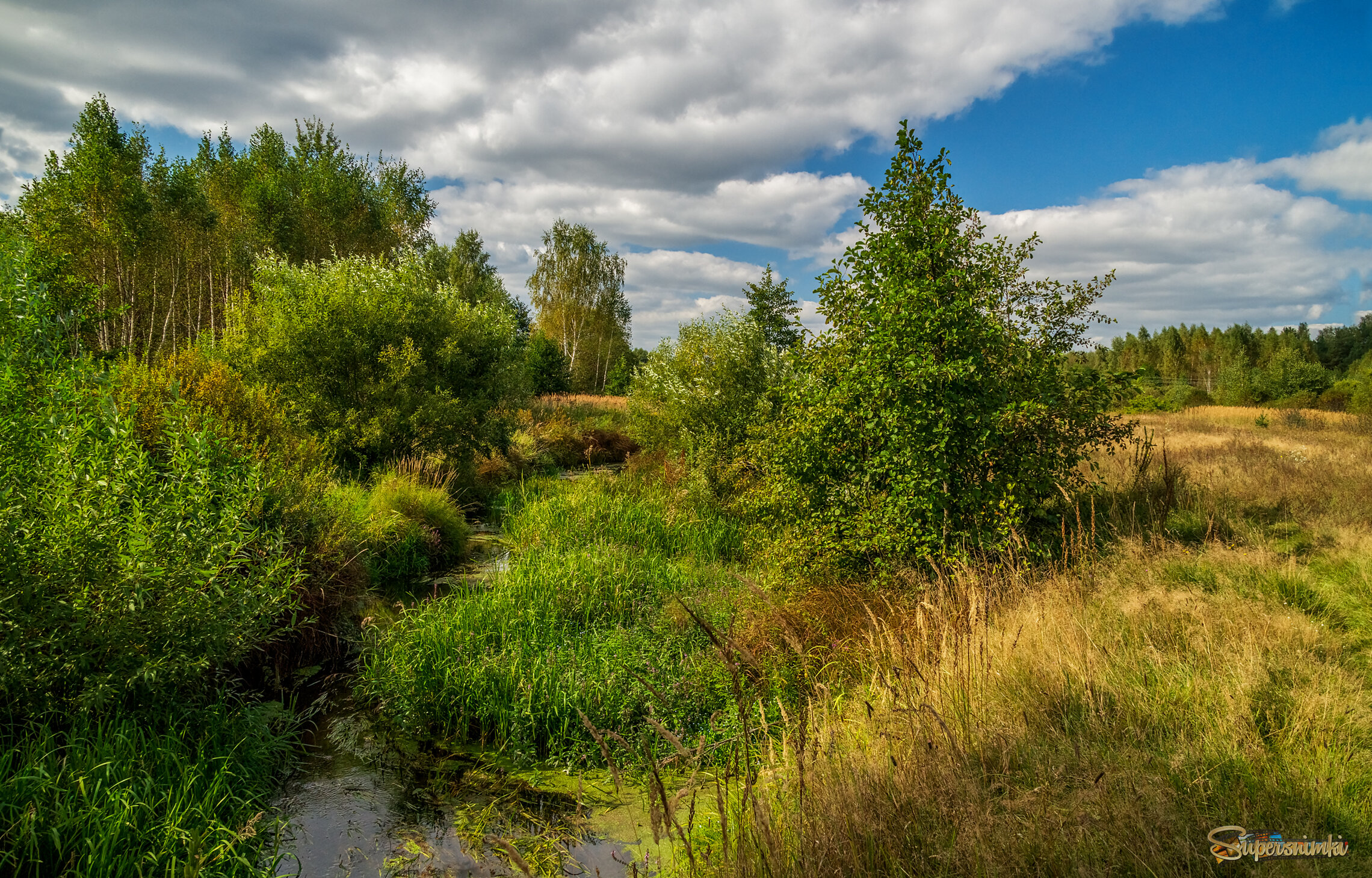 Осень она не спросит 14 