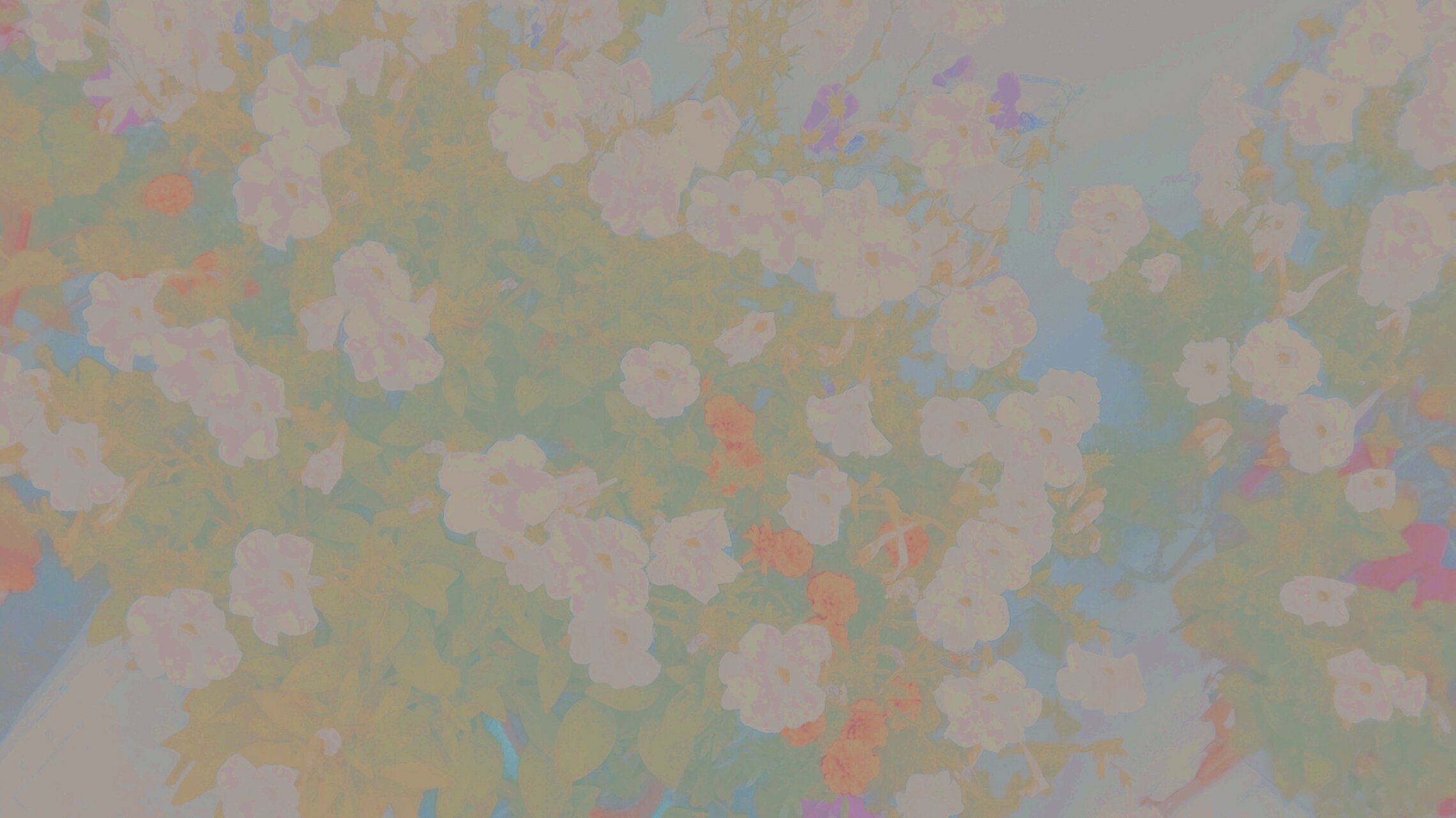 куплеты песни о раздолии