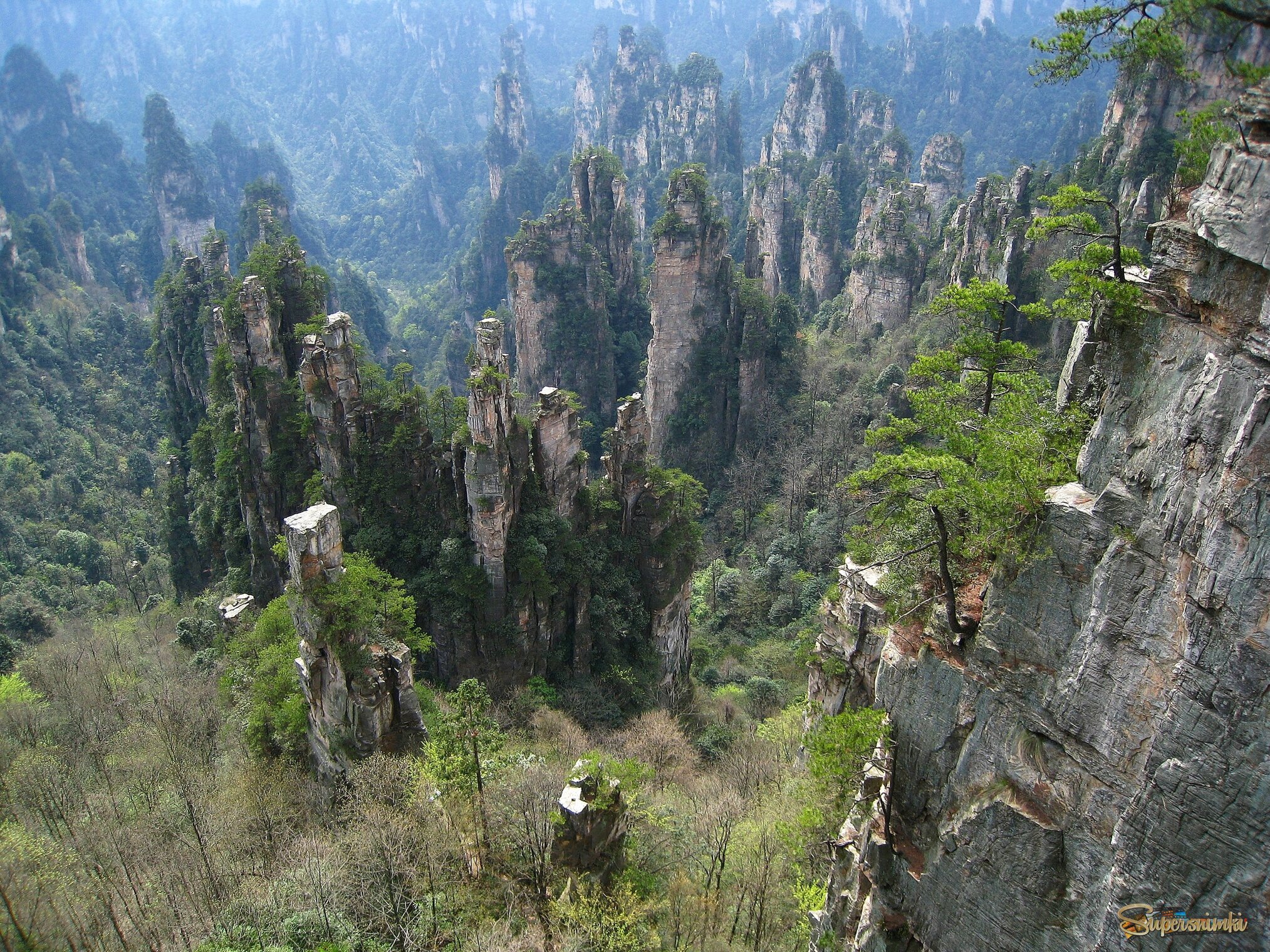 Национальный парк Чжанцзяцзе (Горы Аватара) в Китае. 