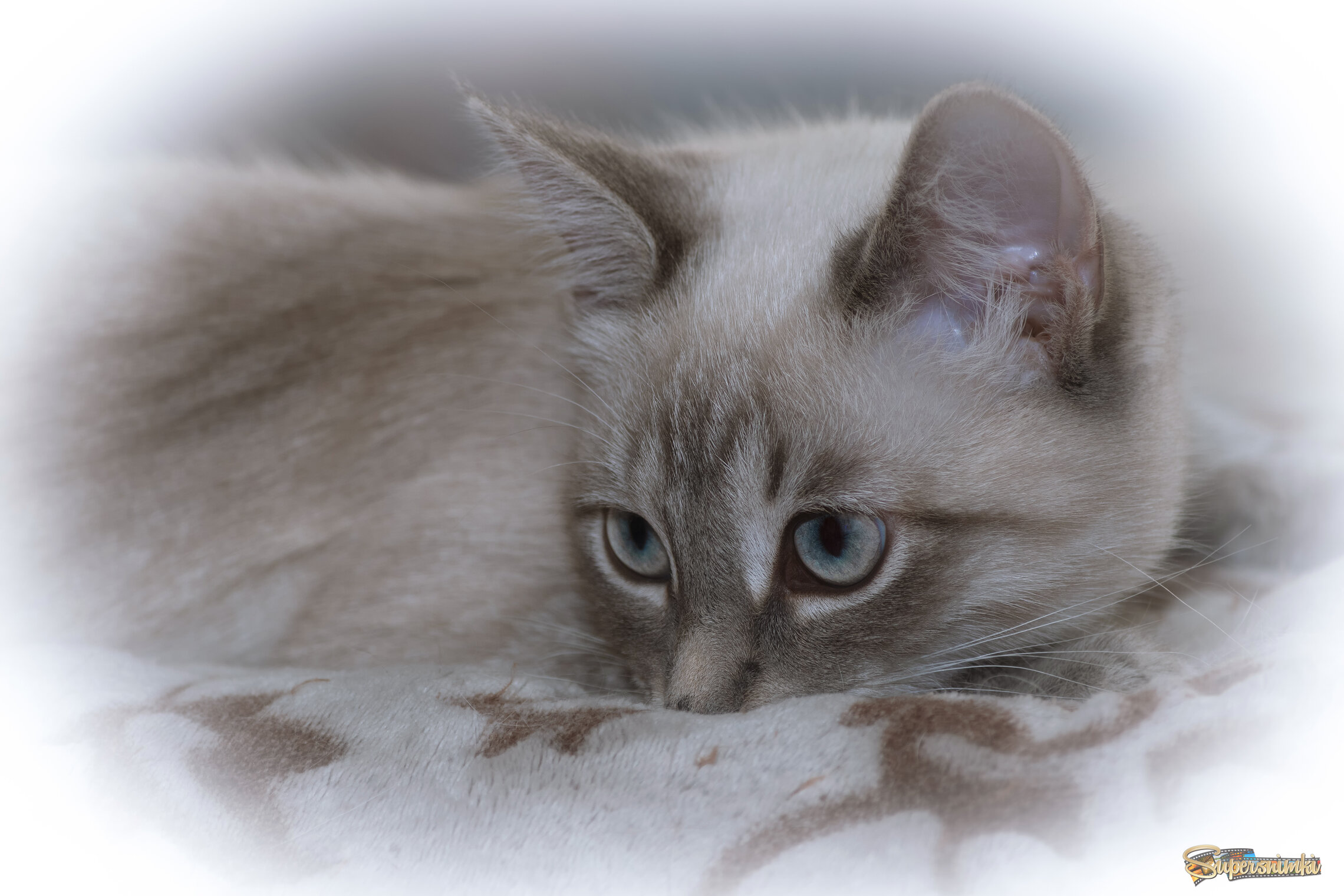 ВЗГРУСТНУЛОСЬ...