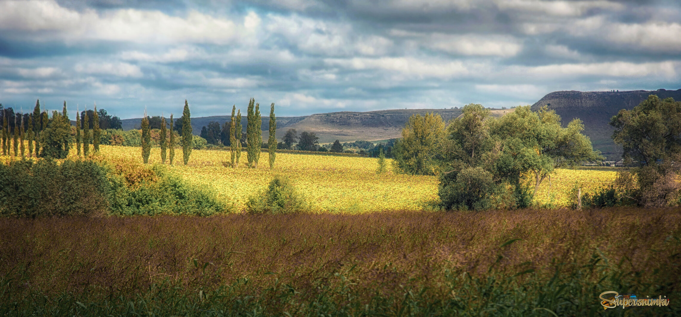 Поле за селом Николаевка